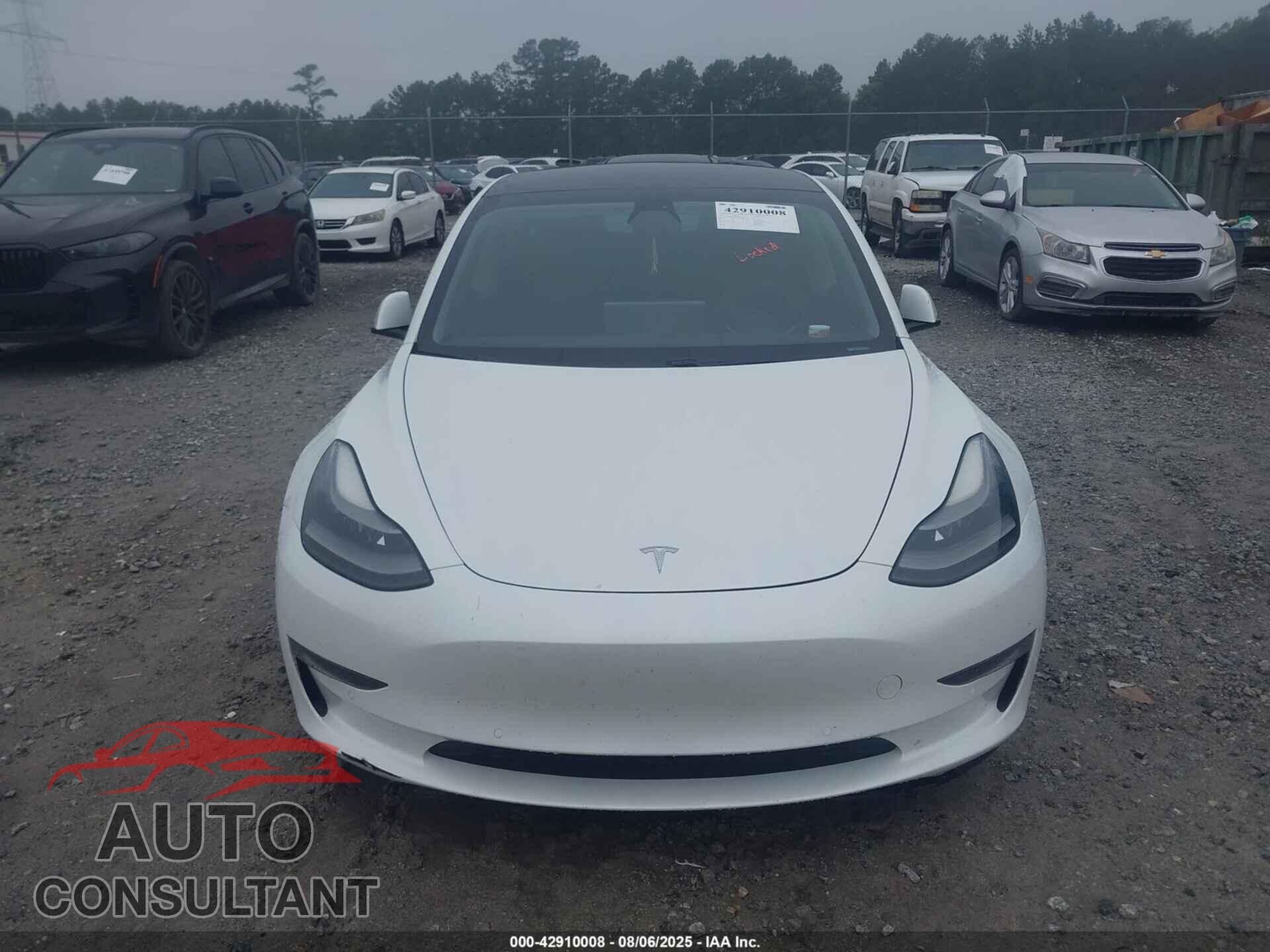 TESLA MODEL 3 2021 - 5YJ3E1EA0MF919316