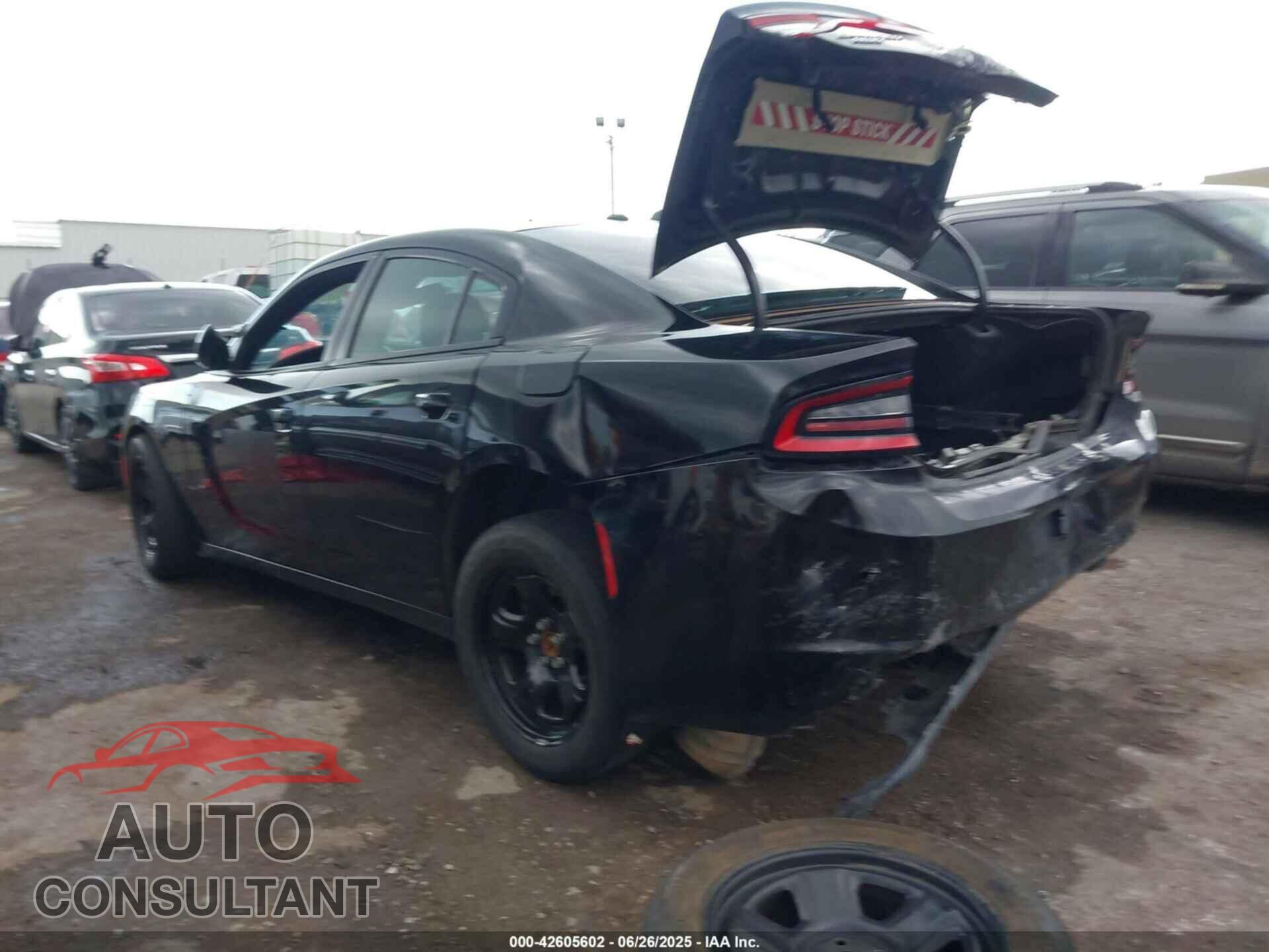 DODGE CHARGER 2019 - 2C3CDXKT2KH740637