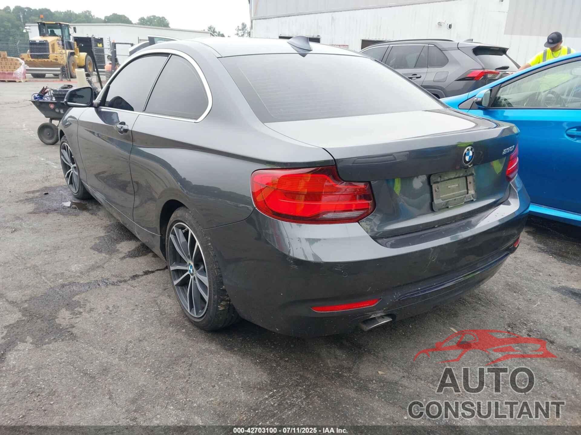 BMW 230I 2019 - WBA2J1C51K7D52548