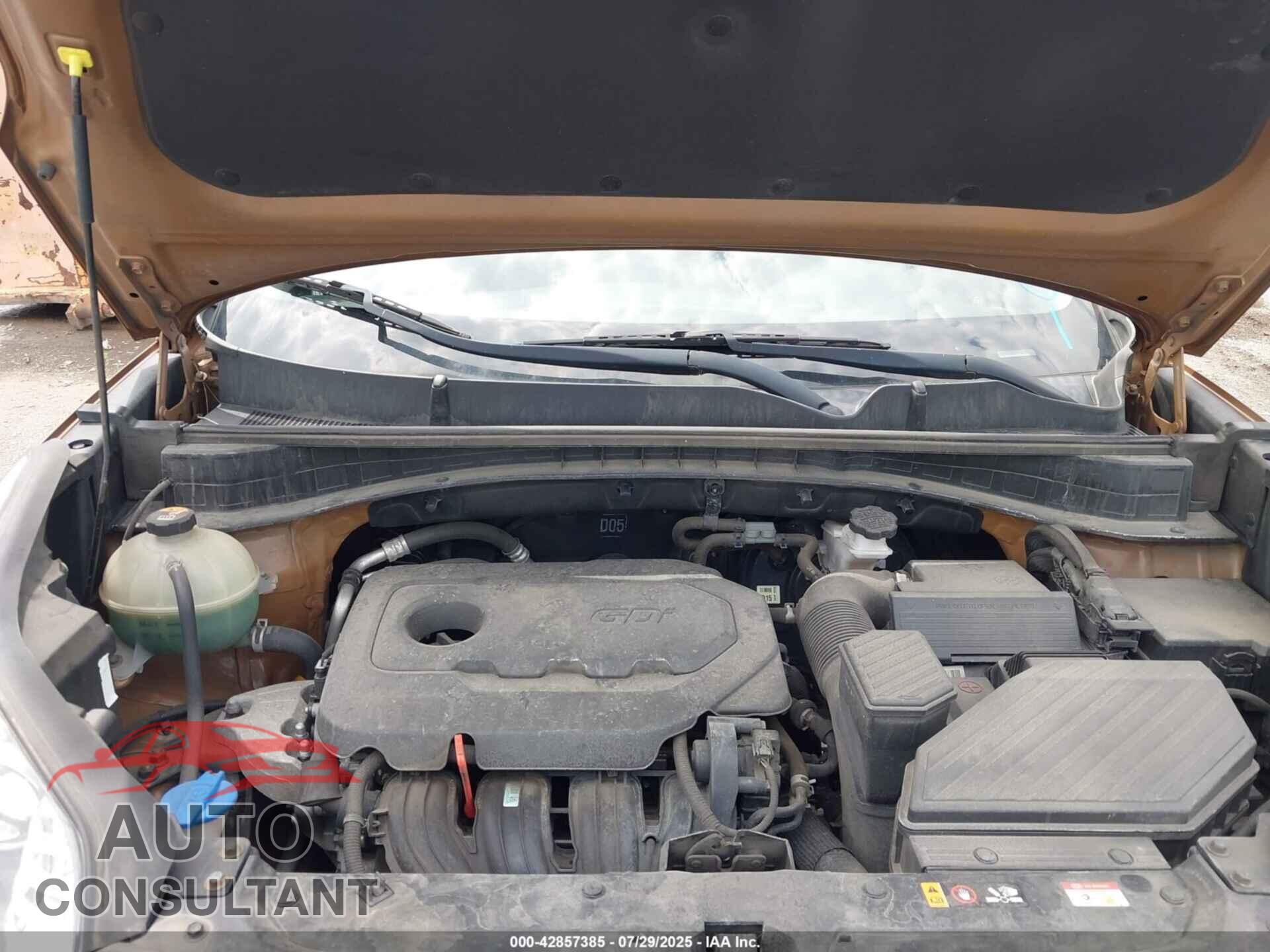 KIA SPORTAGE 2020 - KNDPM3AC4L7648501
