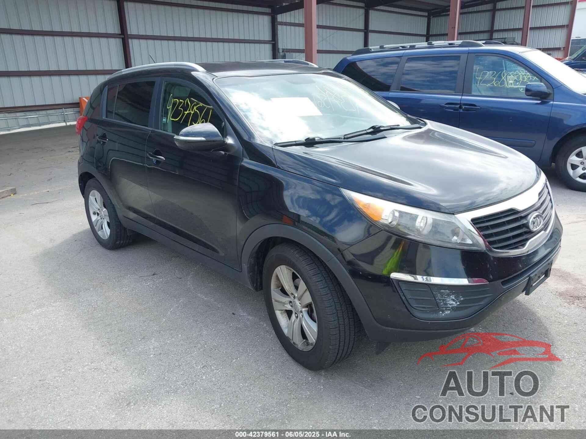 KIA SPORTAGE 2011 - KNDPB3A22B7079837