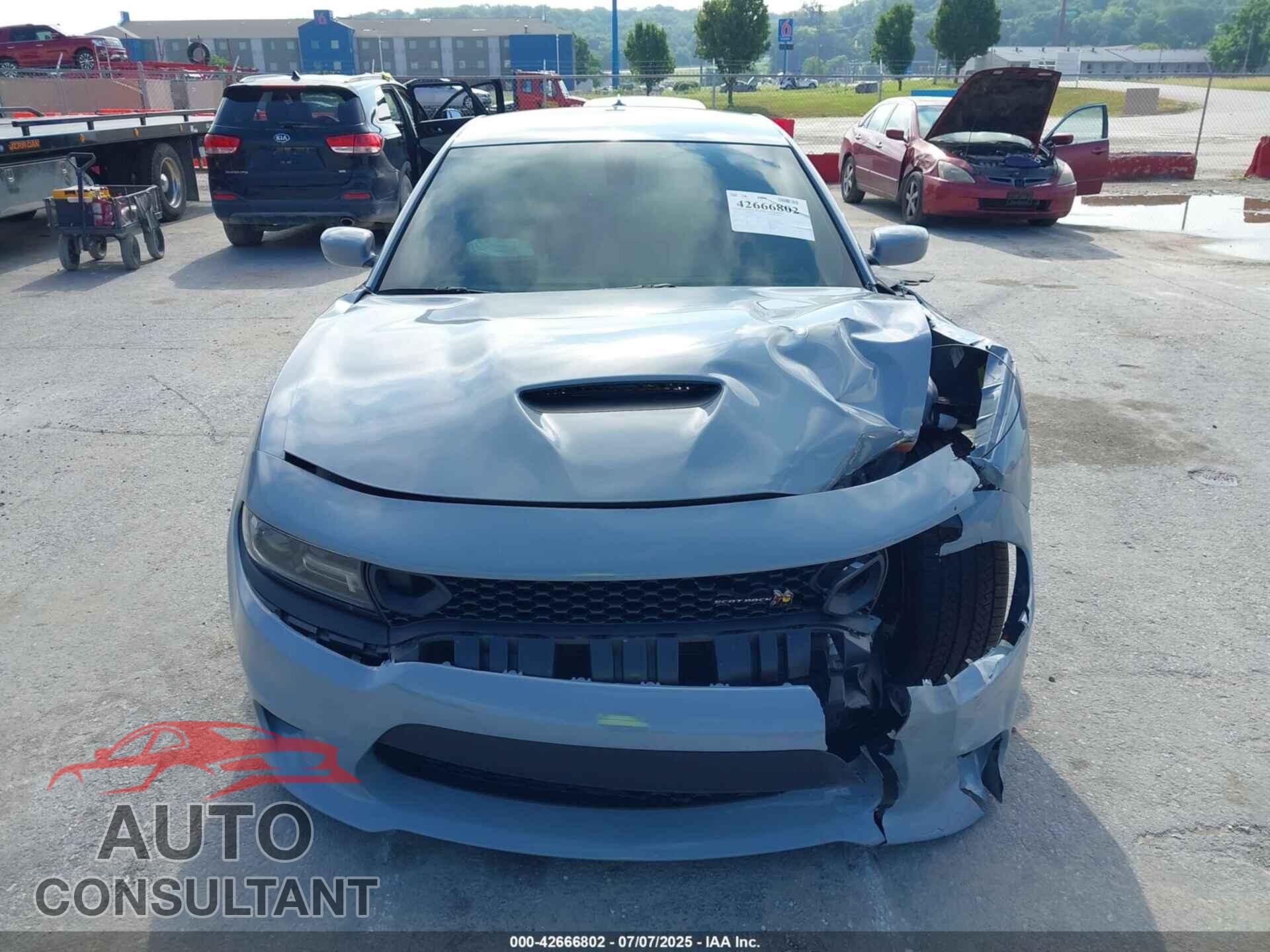 DODGE CHARGER 2021 - 2C3CDXGJXMH659217