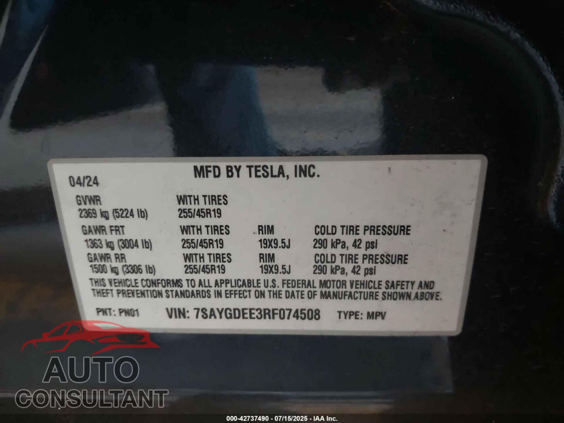 TESLA MODEL Y 2024 - 7SAYGDEE3RF074508