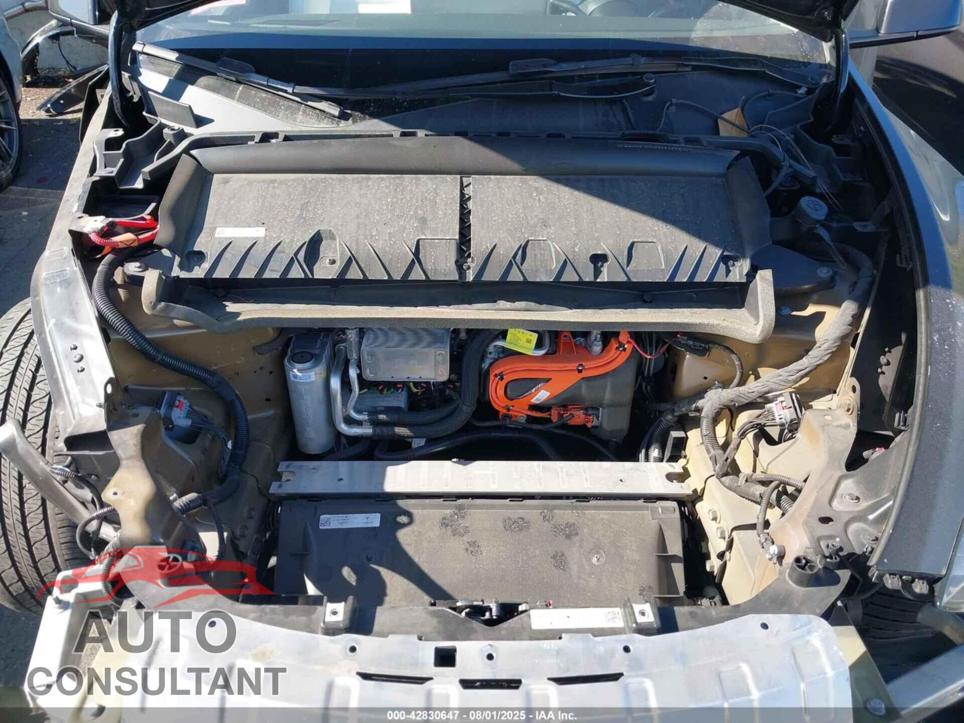 TESLA MODEL Y 2024 - 7SAYGDED2RF127531