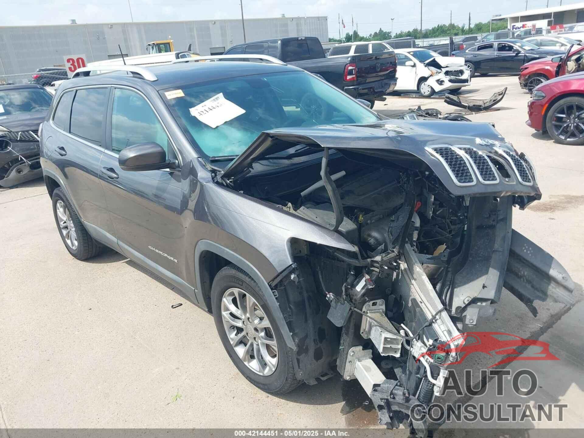 JEEP CHEROKEE 2019 - 1C4PJLLB2KD333239