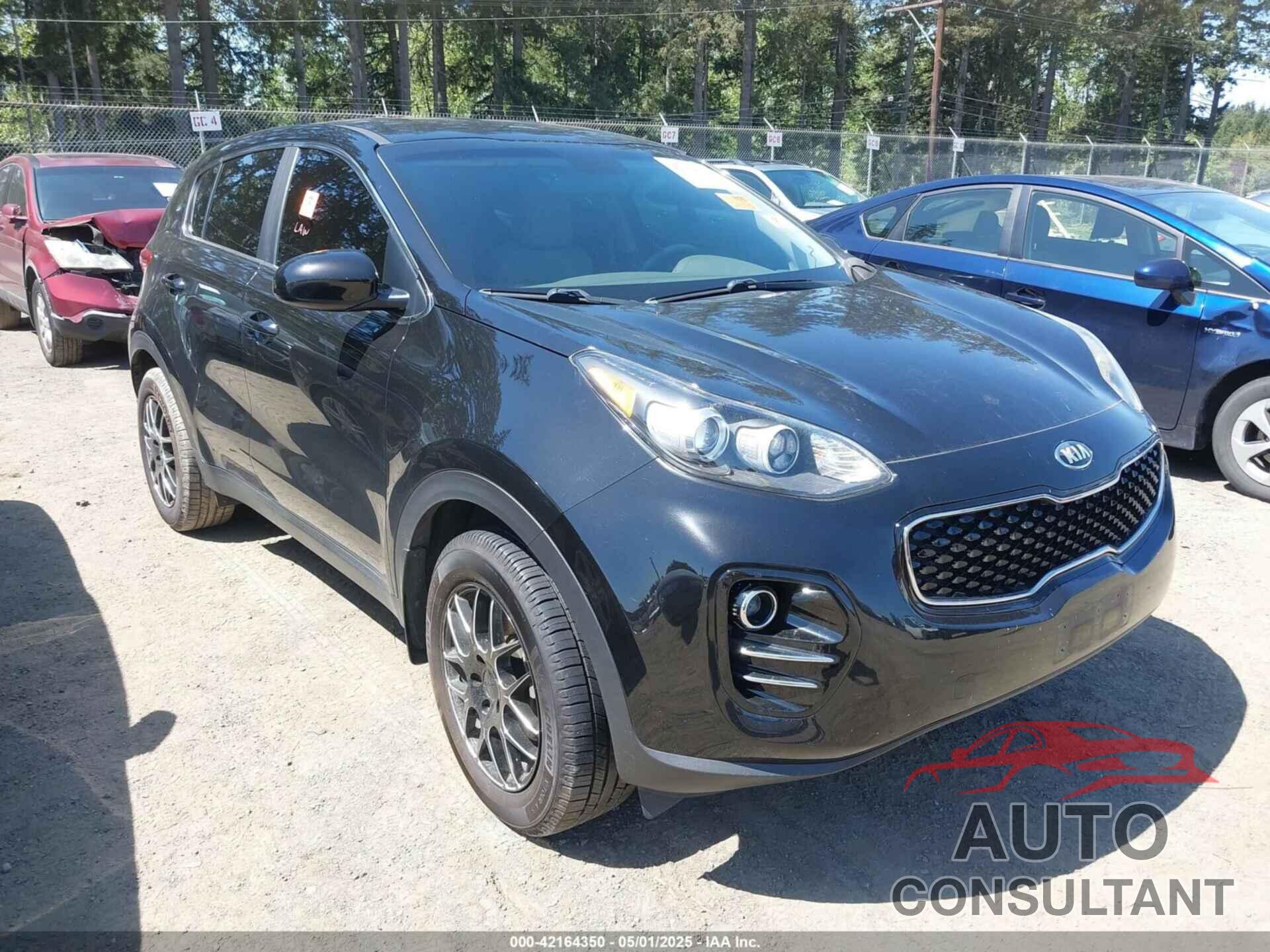 KIA SPORTAGE 2017 - KNDPMCAC1H7197938
