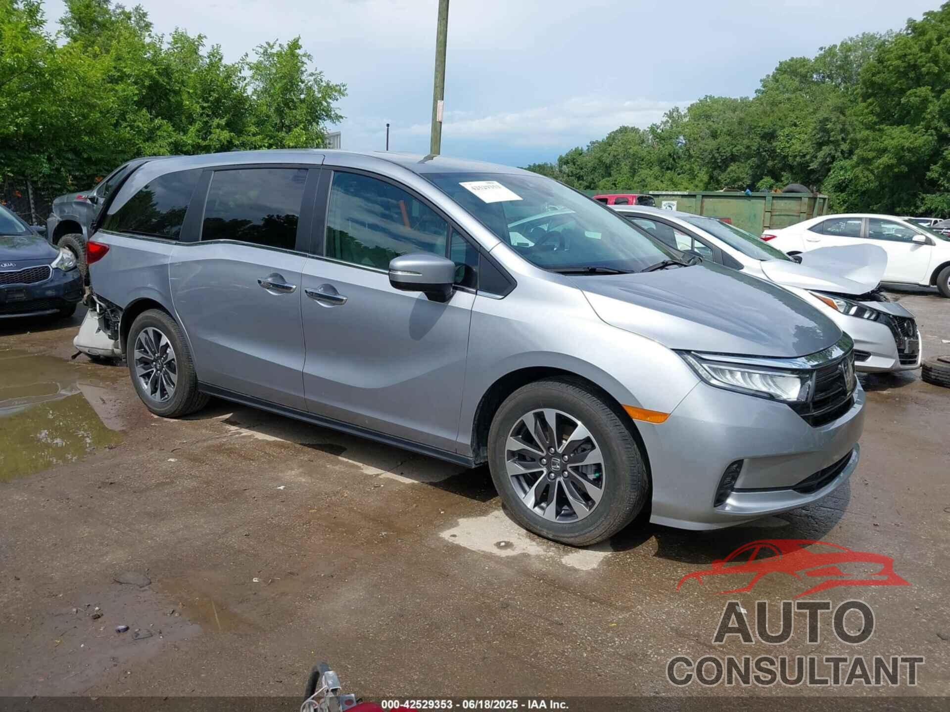 HONDA ODYSSEY 2024 - 5FNRL6H69RB032969