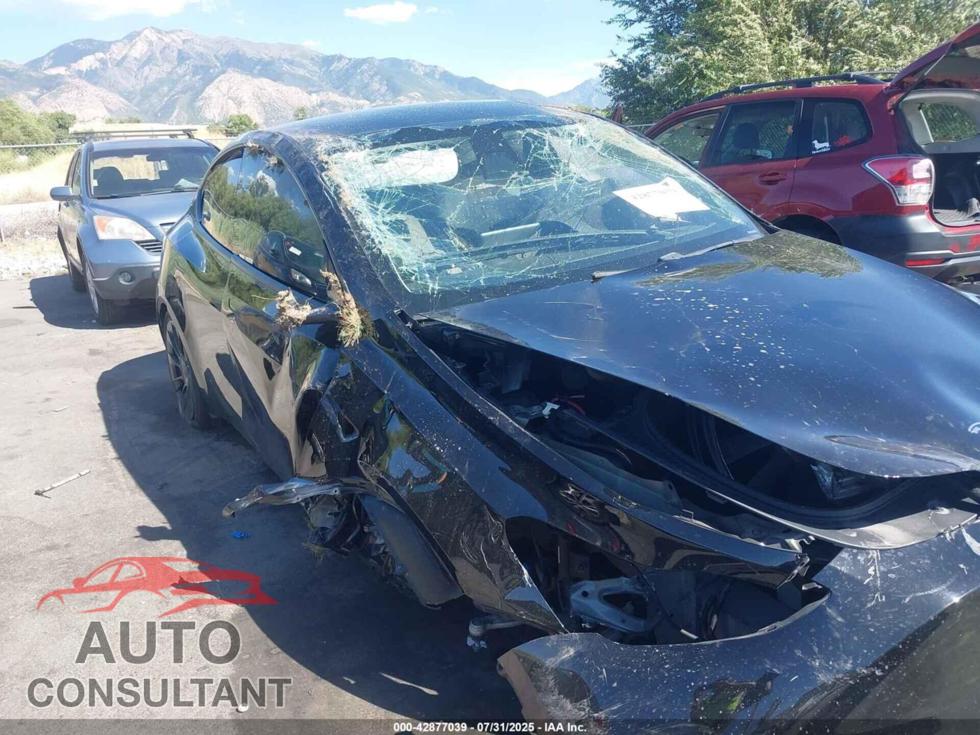 TESLA MODEL Y 2020 - 5YJYGDEE2LF049958