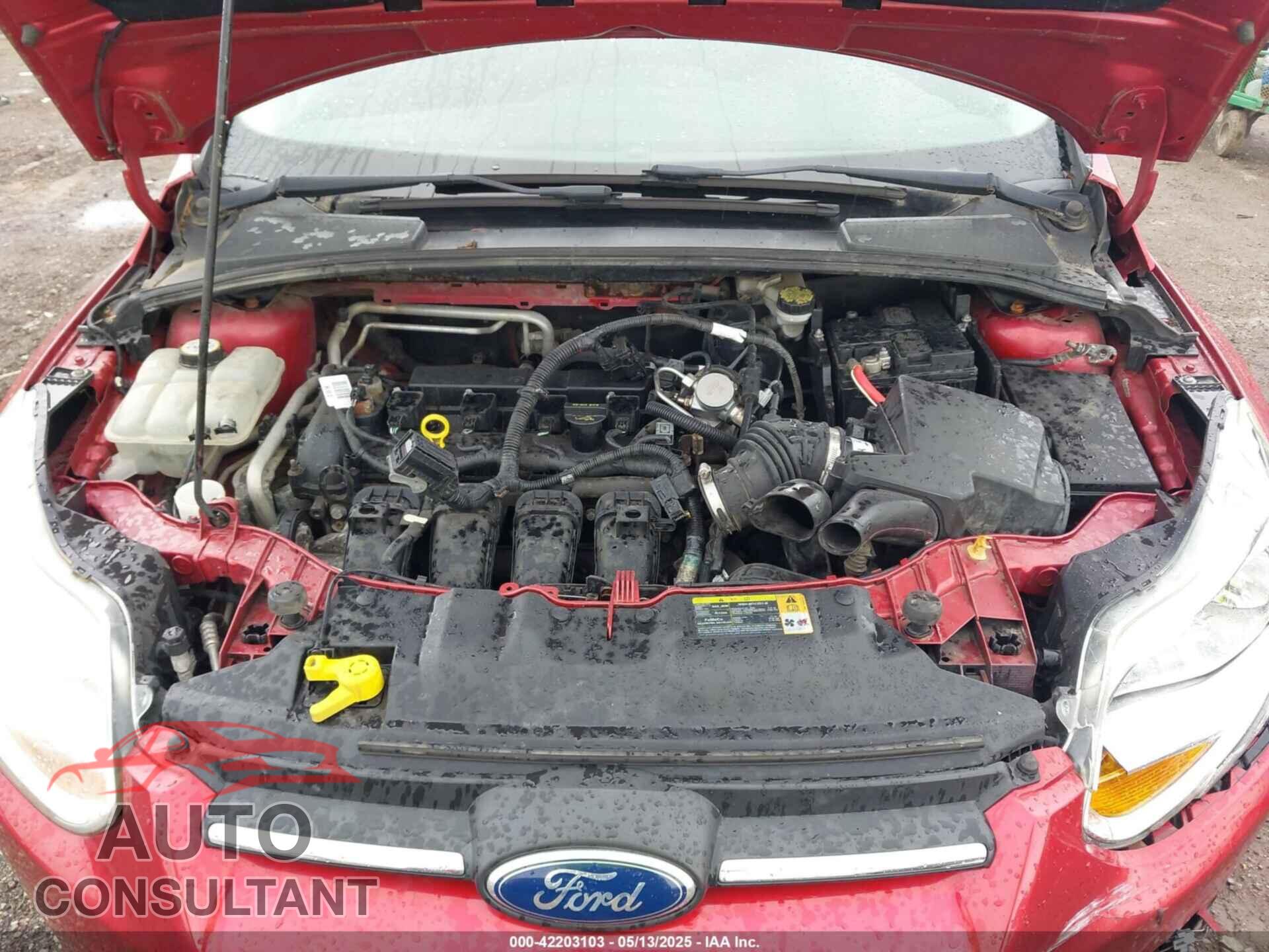 FORD FOCUS 2012 - 1FAHP3F20CL310523