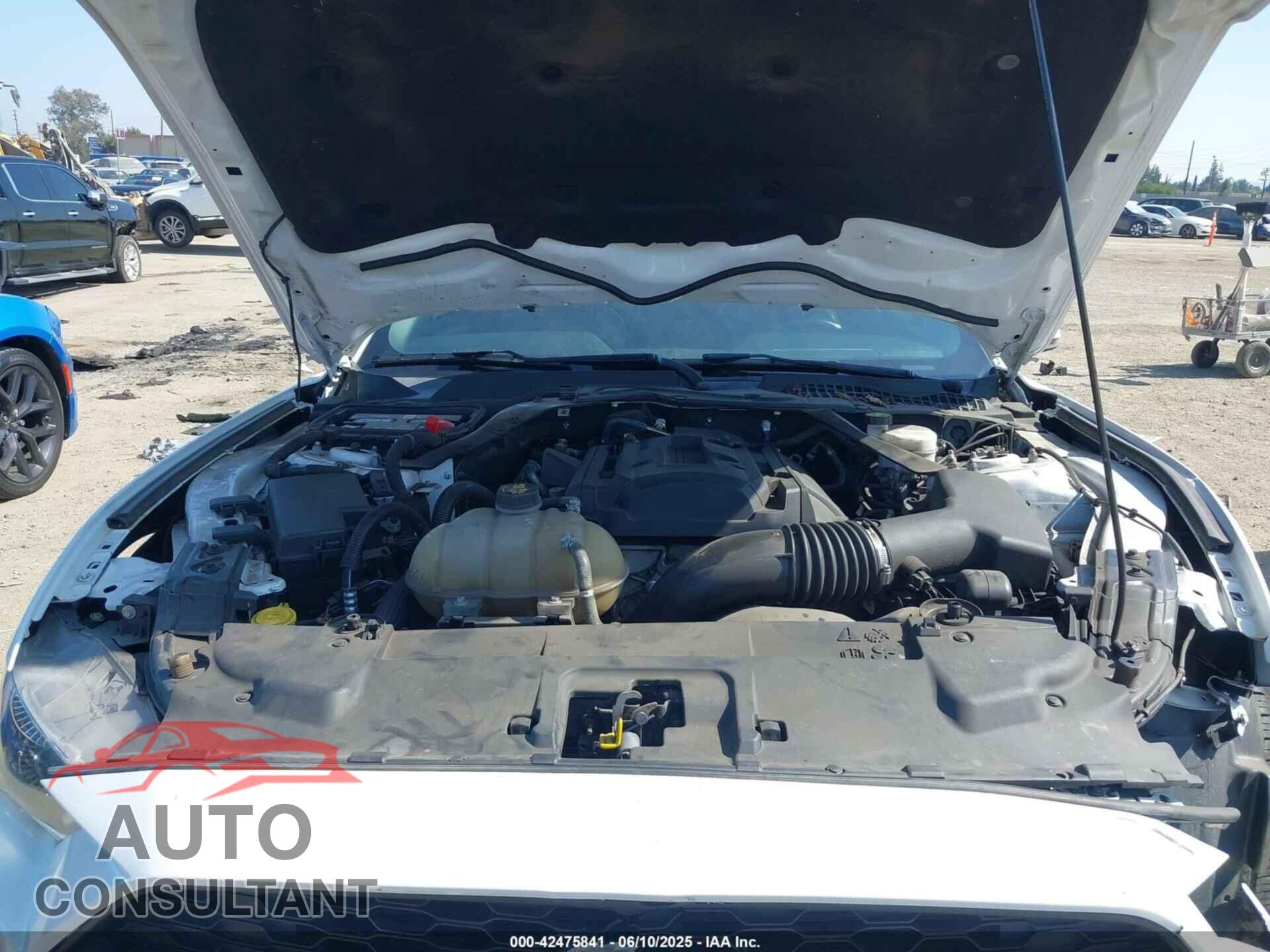 FORD MUSTANG 2020 - 1FATP8UH0L5105965