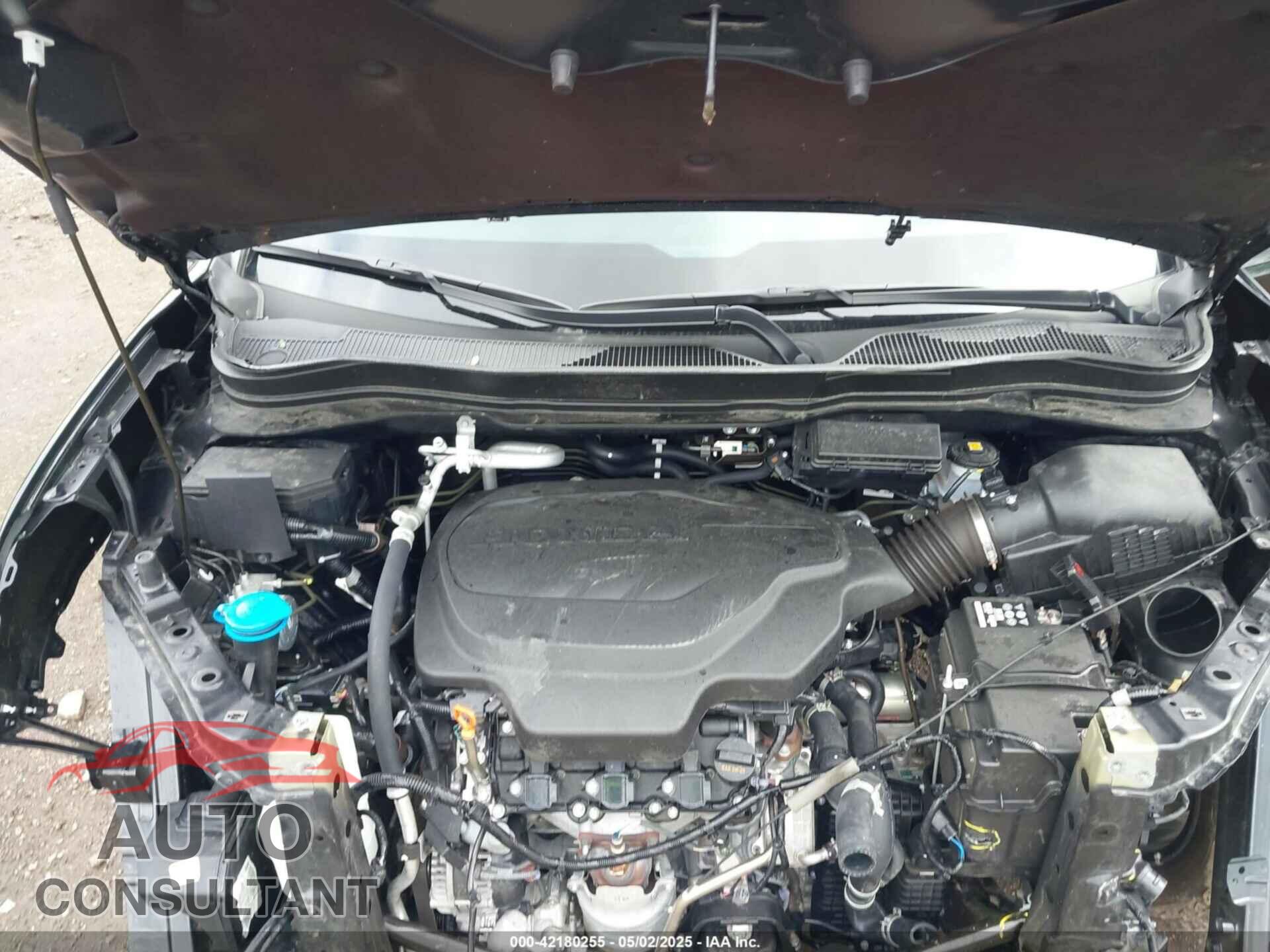 HONDA RIDGELINE 2024 - 5FPYK3F86RB030458