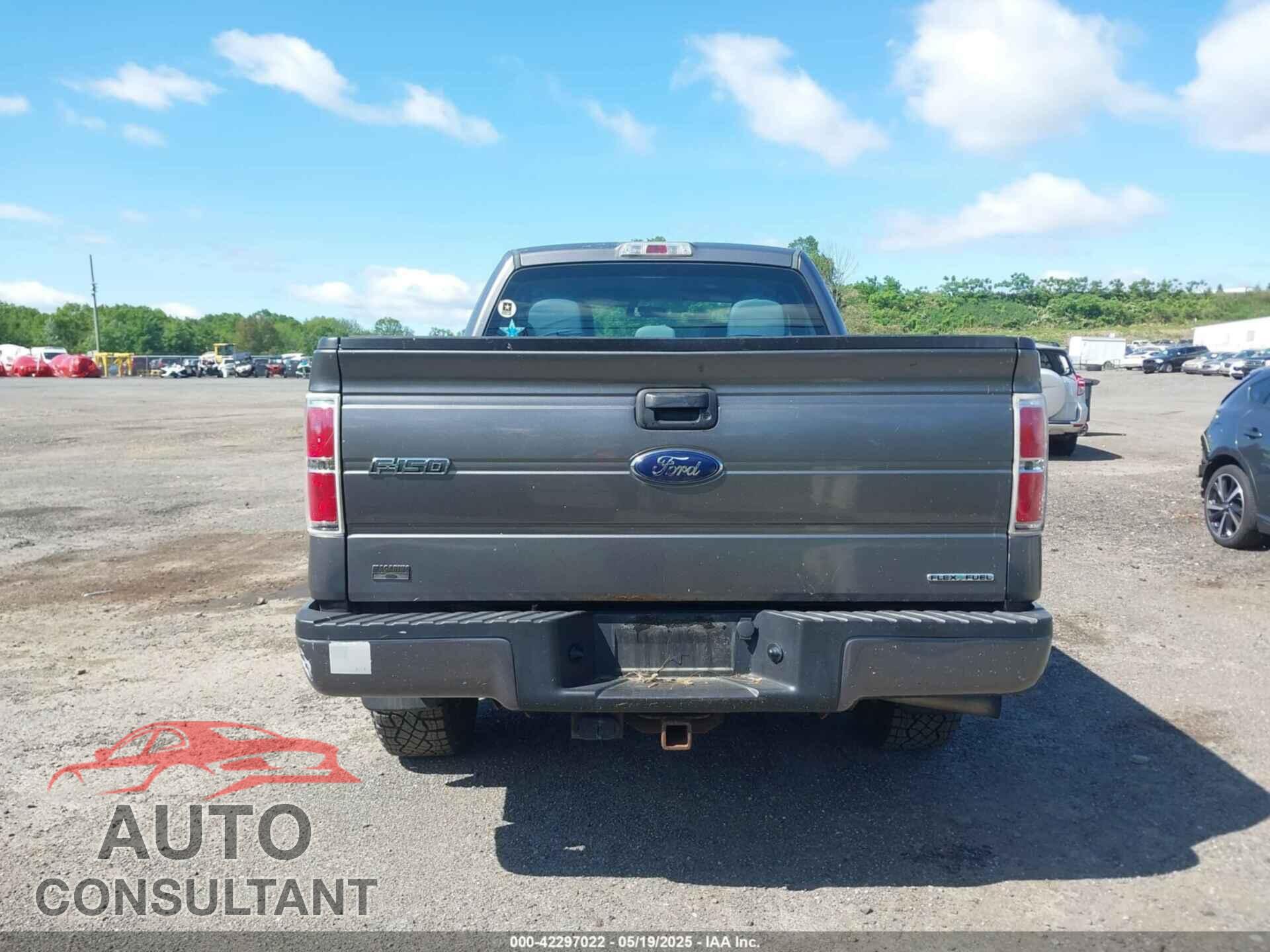 FORD F-150 2013 - 1FTEX1EM9DFC99848