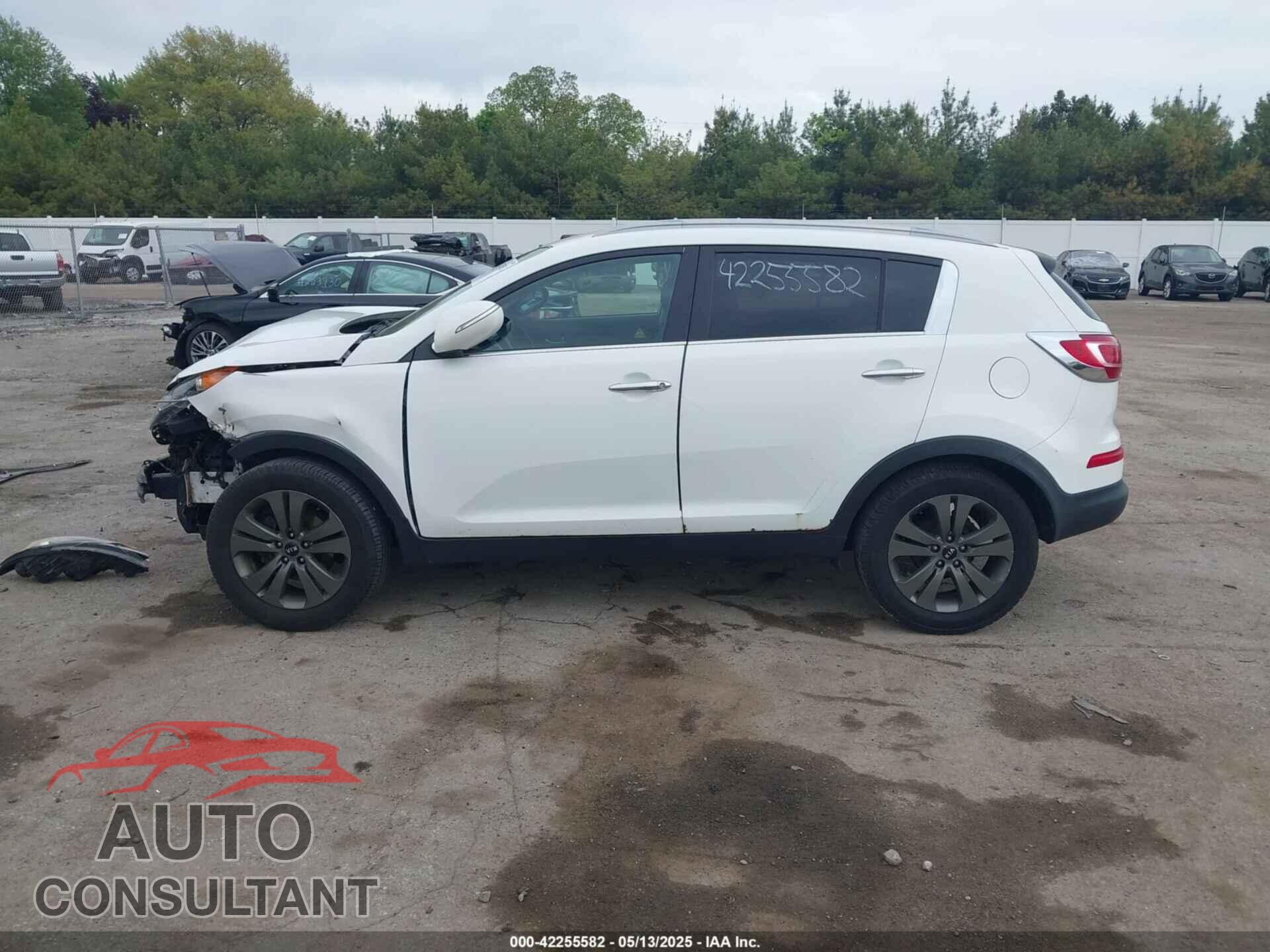 KIA SPORTAGE 2013 - KNDPC3A22D7365381
