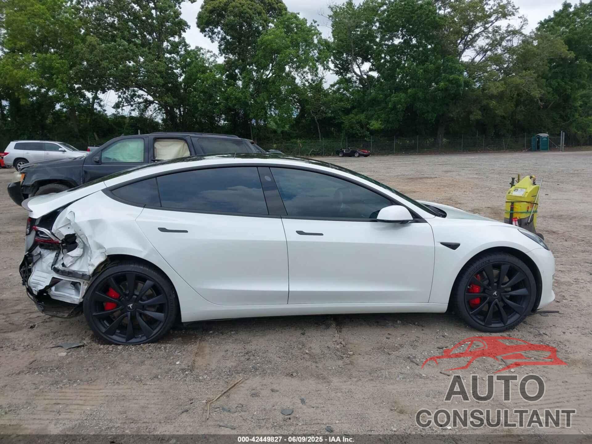 TESLA MODEL 3 2019 - 5YJ3E1EB6KF487174