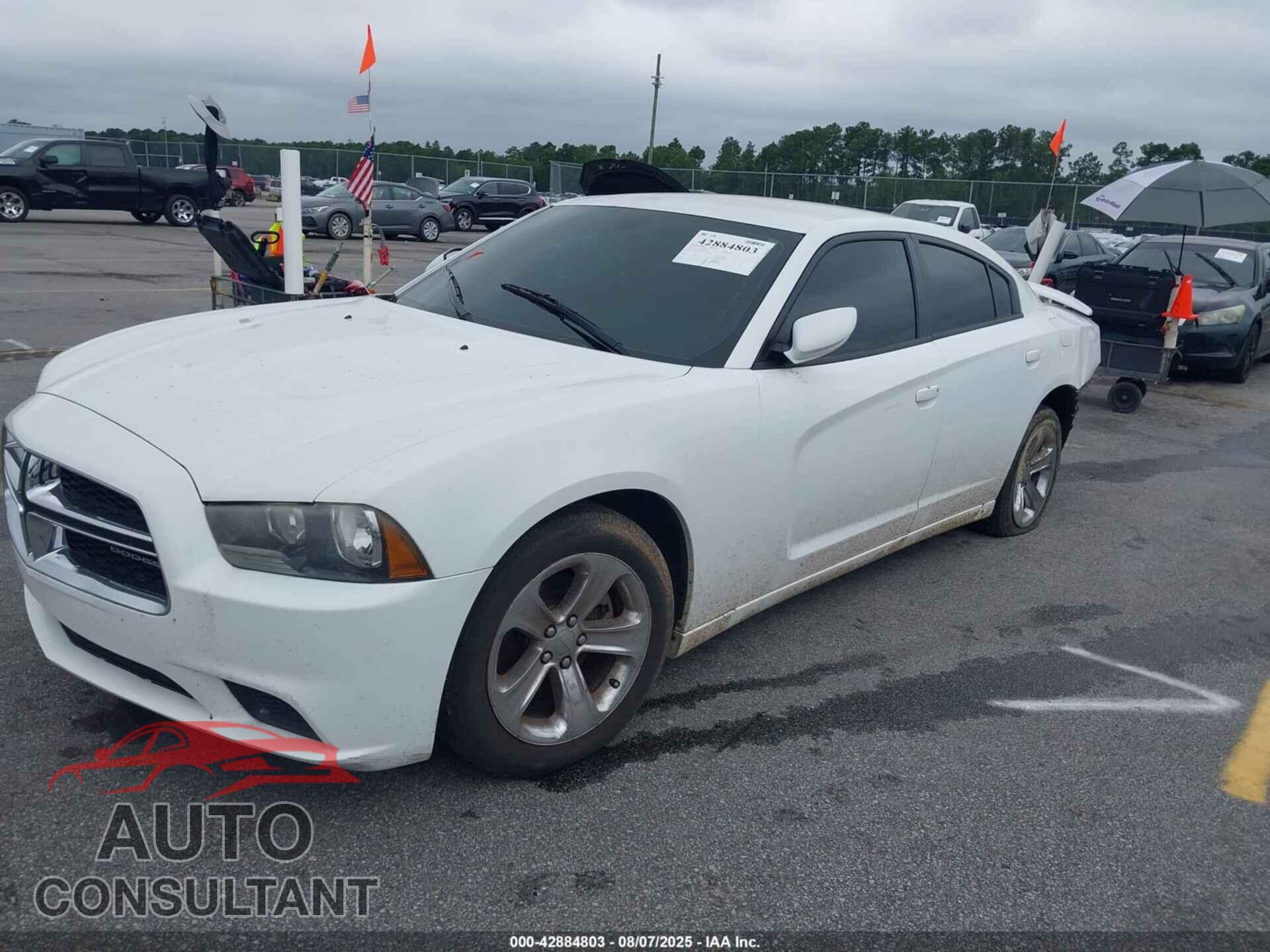 DODGE CHARGER 2014 - 2C3CDXBG0EH256506
