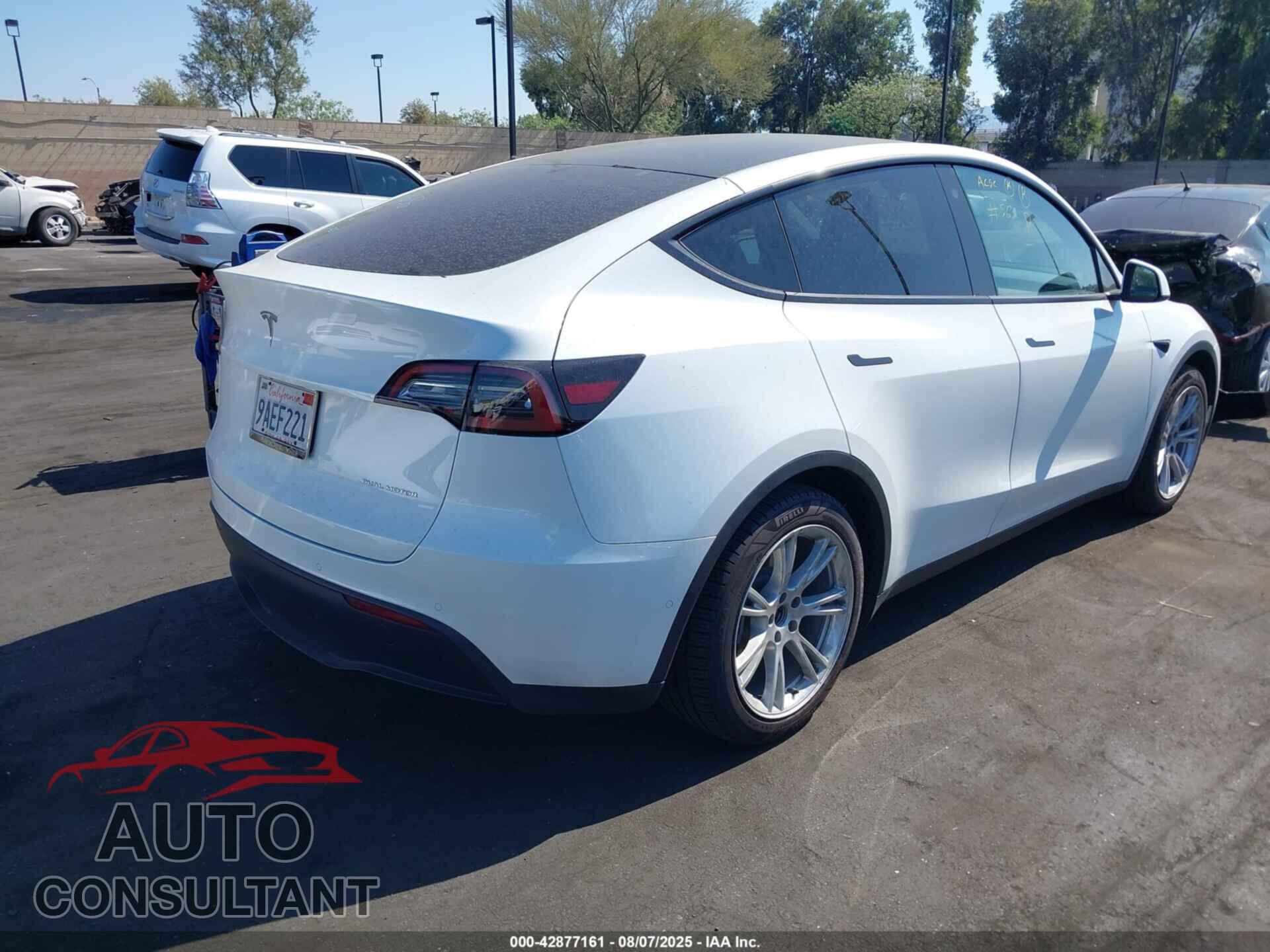 TESLA MODEL Y 2022 - 7SAYGAEE2NF365977