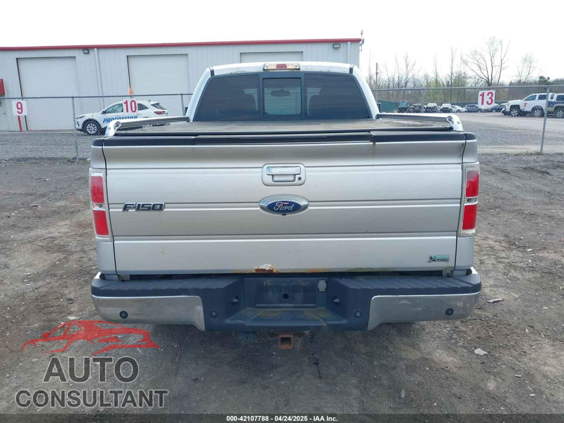 FORD F150 2010 - 1FTFW1EV3AFA00575