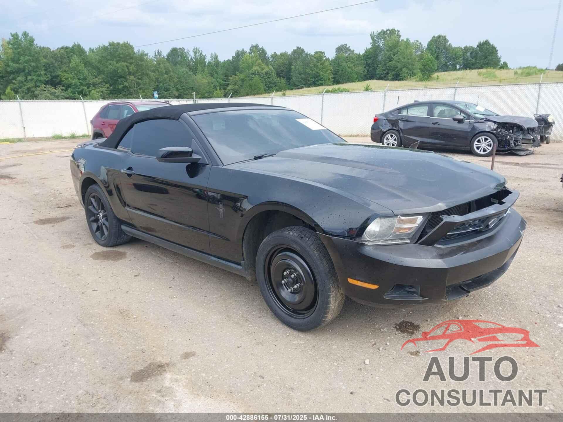 FORD MUSTANG 2010 - 1ZVBP8ENXA5158855