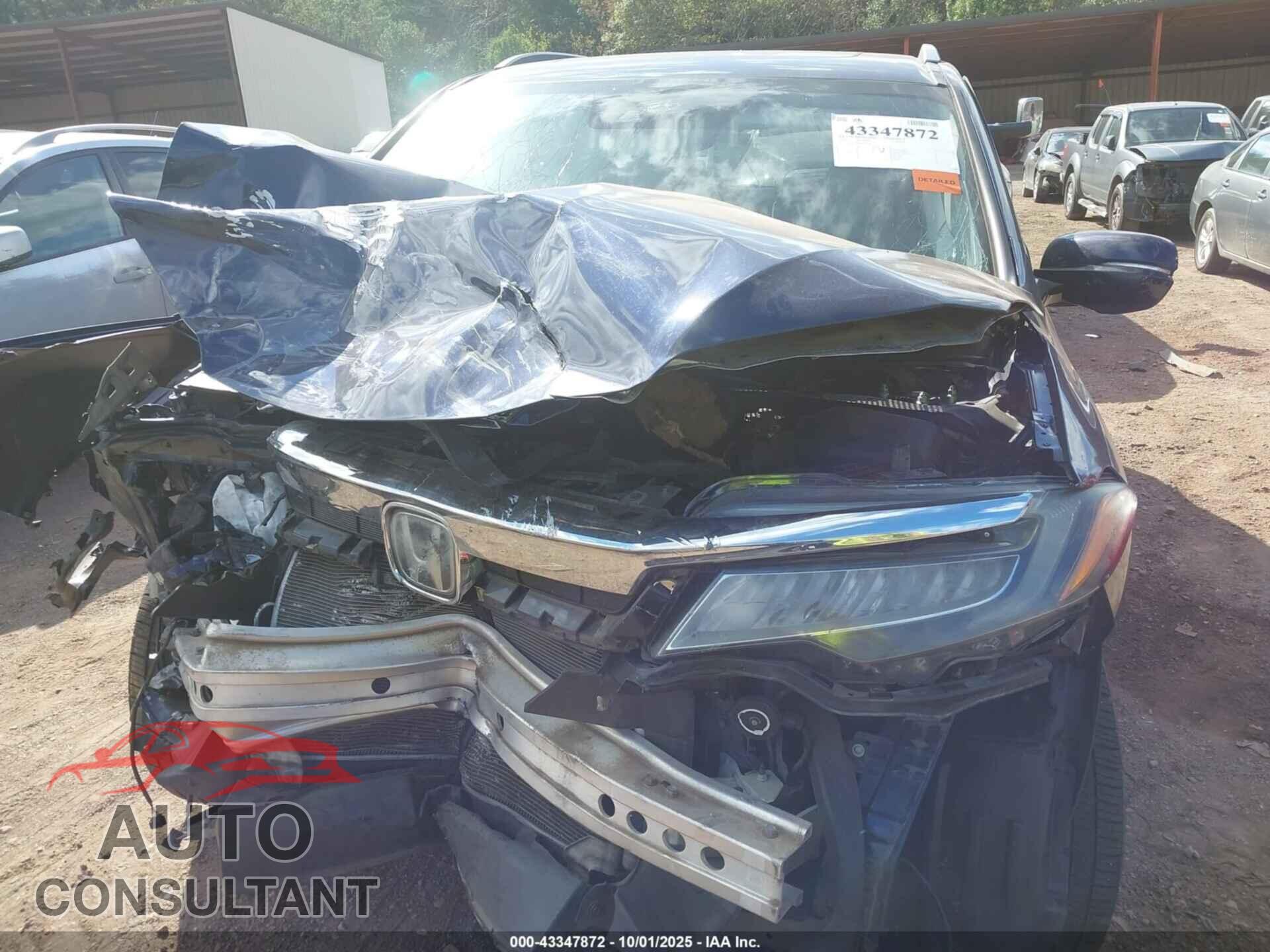 HONDA PILOT 2019 - 5FNYF5H68KB020413