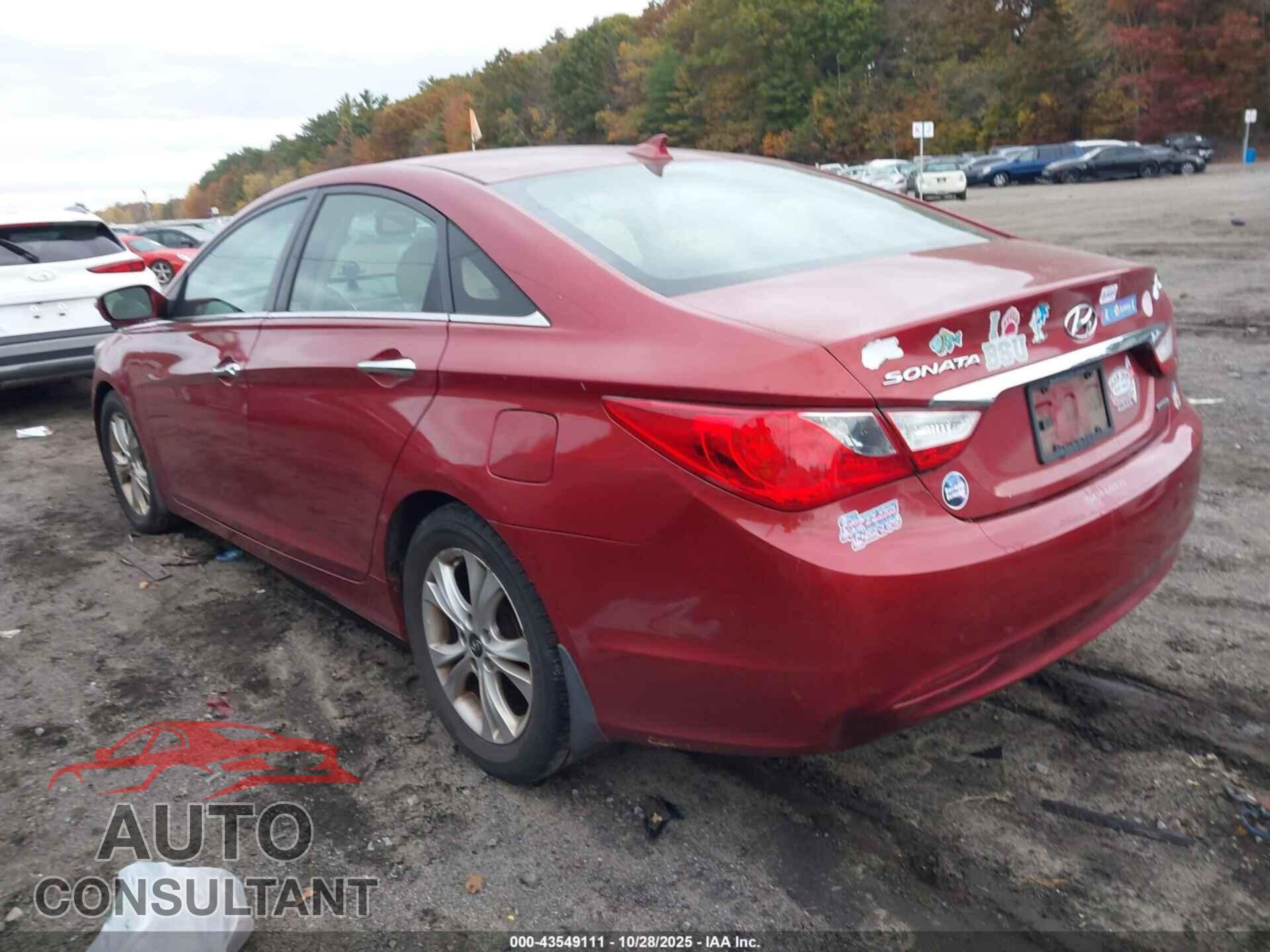 HYUNDAI SONATA 2013 - 5NPEC4AC0DH698986
