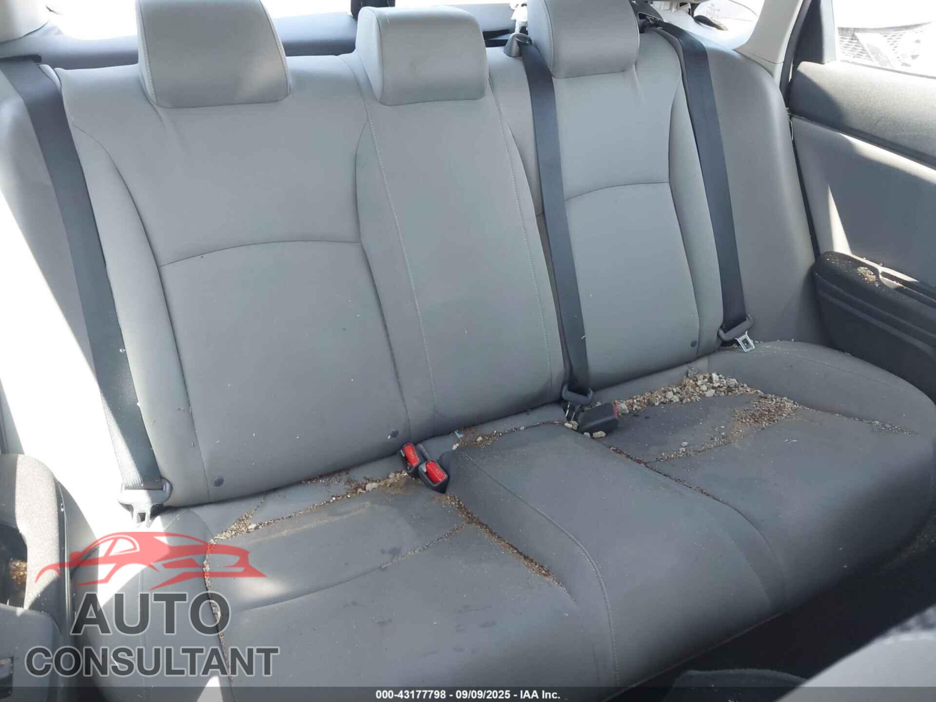 HONDA CIVIC 2019 - 2HGFC2F6XKH558091