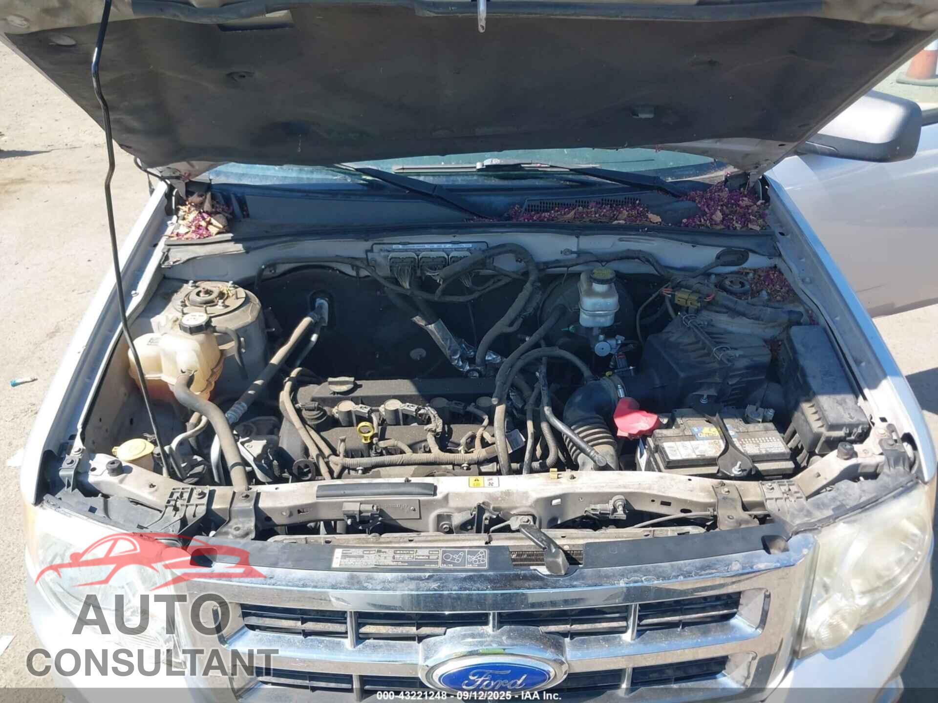FORD ESCAPE 2011 - 1FMCU9D71BKC11370