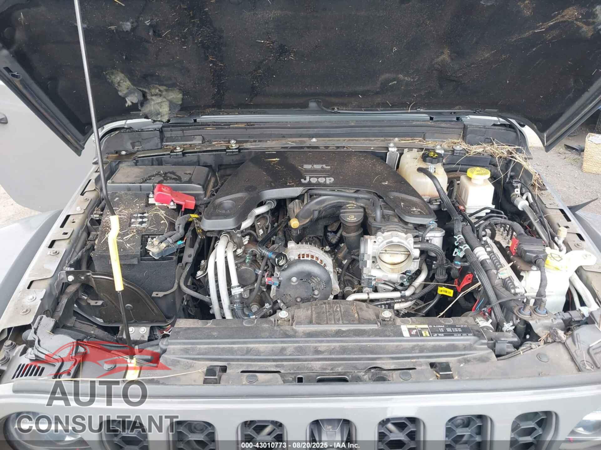 JEEP GLADIATOR 2020 - 1C6JJTBG8LL186975