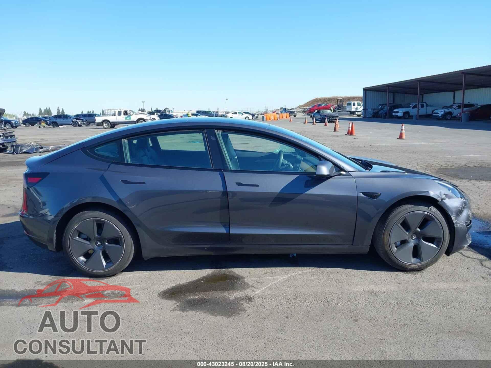 TESLA MODEL 3 2021 - 5YJ3E1EA8MF974161
