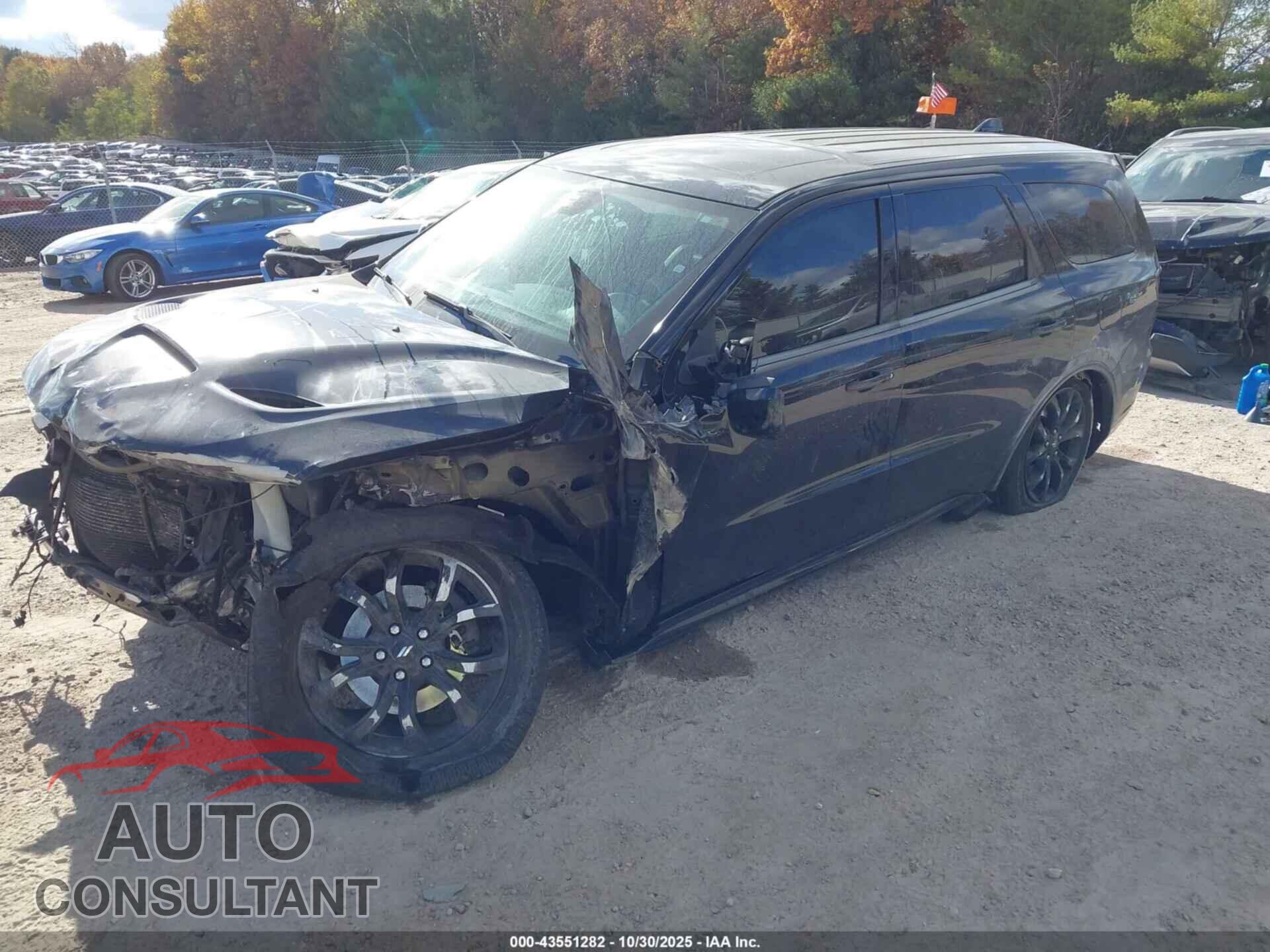 DODGE DURANGO 2019 - 1C4SDJCT1KC770945