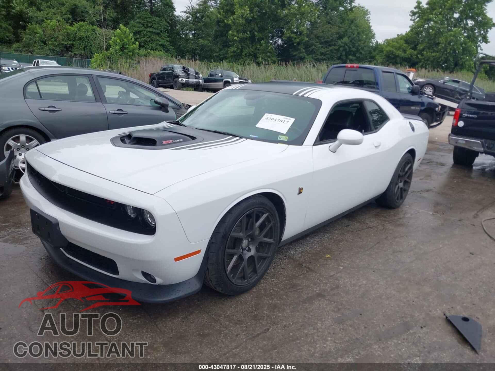 DODGE CHALLENGER 2016 - 2C3CDZFJ1GH249682