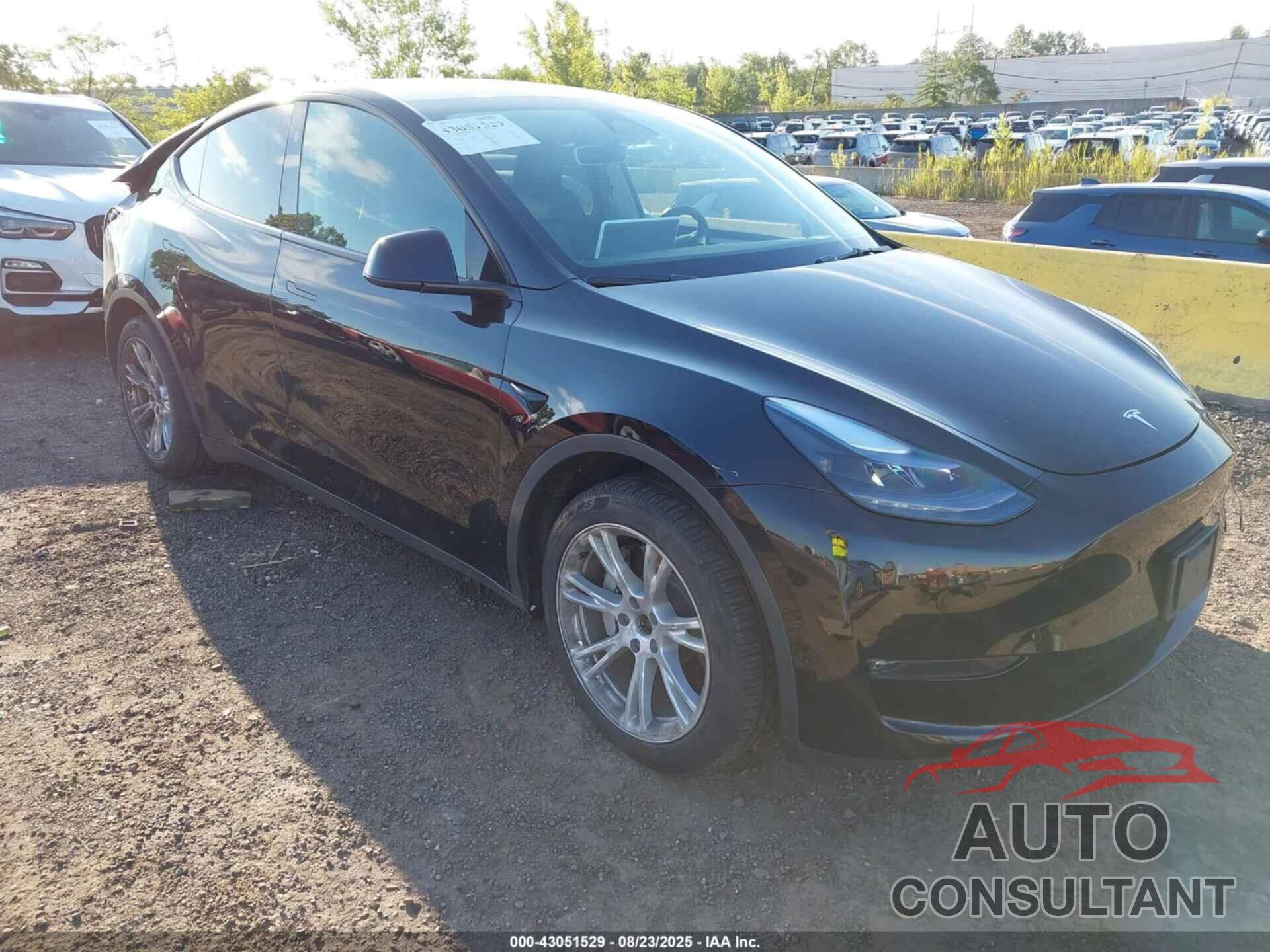 TESLA MODEL Y 2023 - 7SAYGAEE1PF903829
