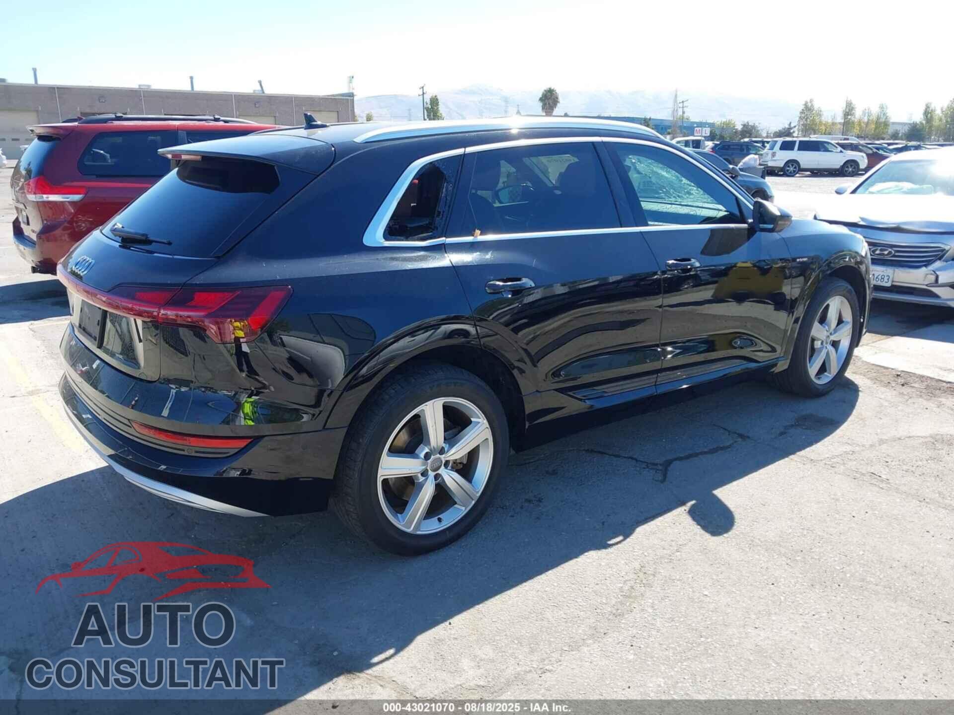 AUDI E-TRON 2019 - WA1LABGE4KB021247