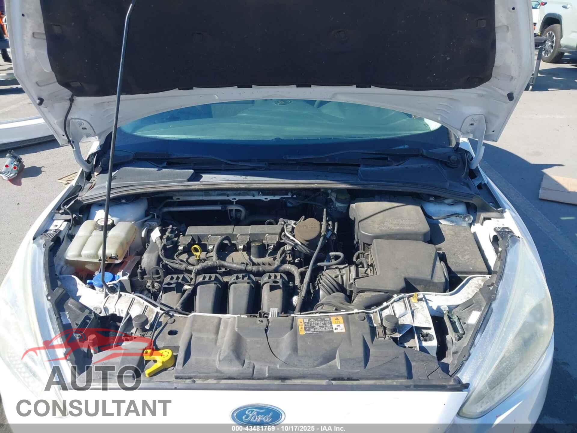 FORD FOCUS 2016 - 1FADP3F22GL294264