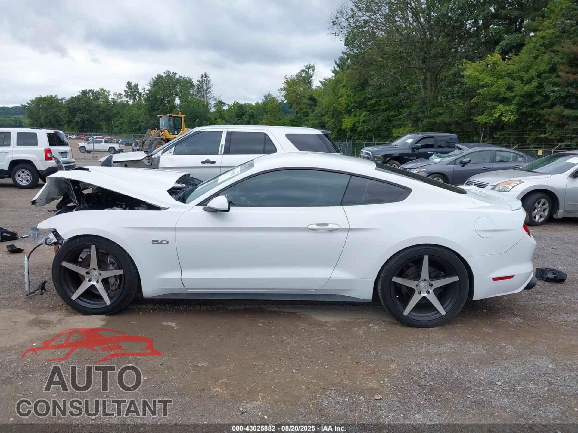FORD MUSTANG 2015 - 1FA6P8CF6F5318436