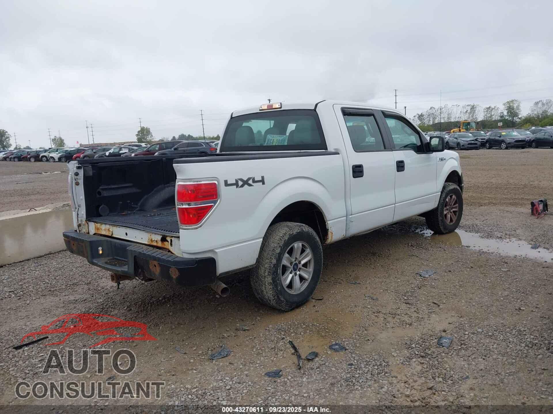 FORD F-150 2012 - 1FTFW1EF4CFB46303