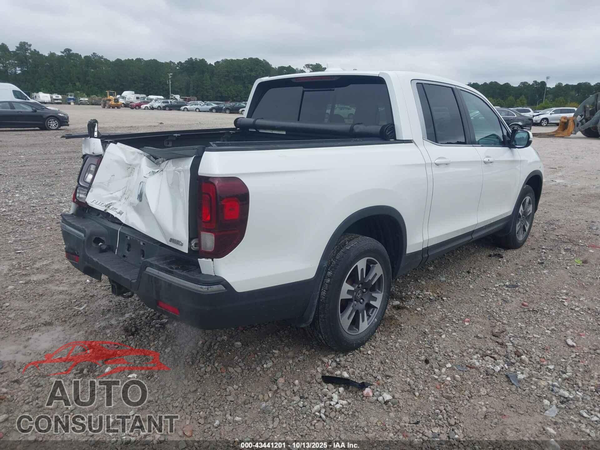 HONDA RIDGELINE 2019 - 5FPYK3F55KB043584