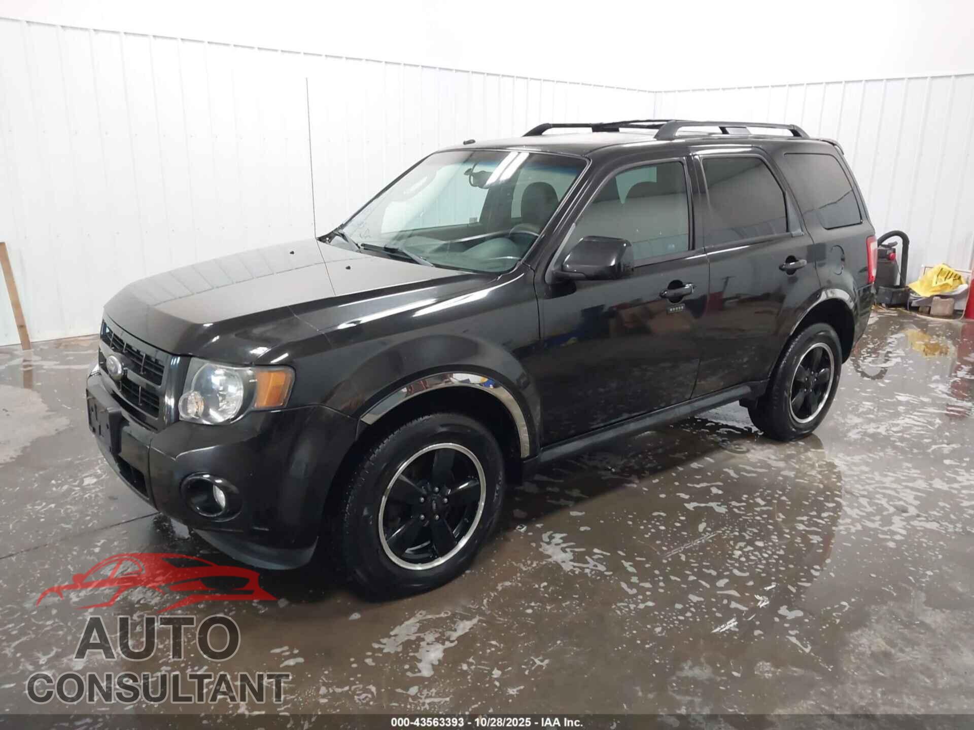 FORD ESCAPE 2011 - 1FMCU9DG8BKC51560