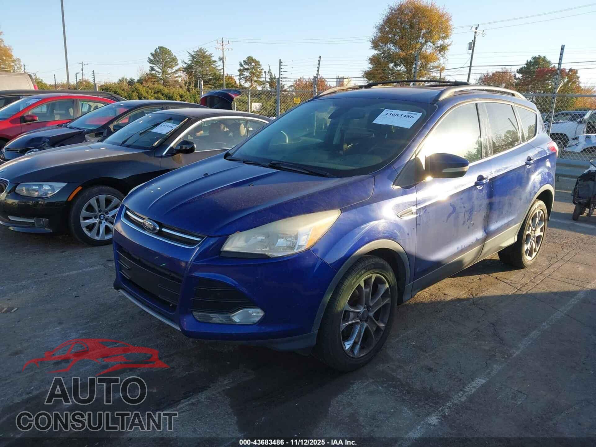 FORD ESCAPE 2013 - 1FMCU0HX7DUD85151