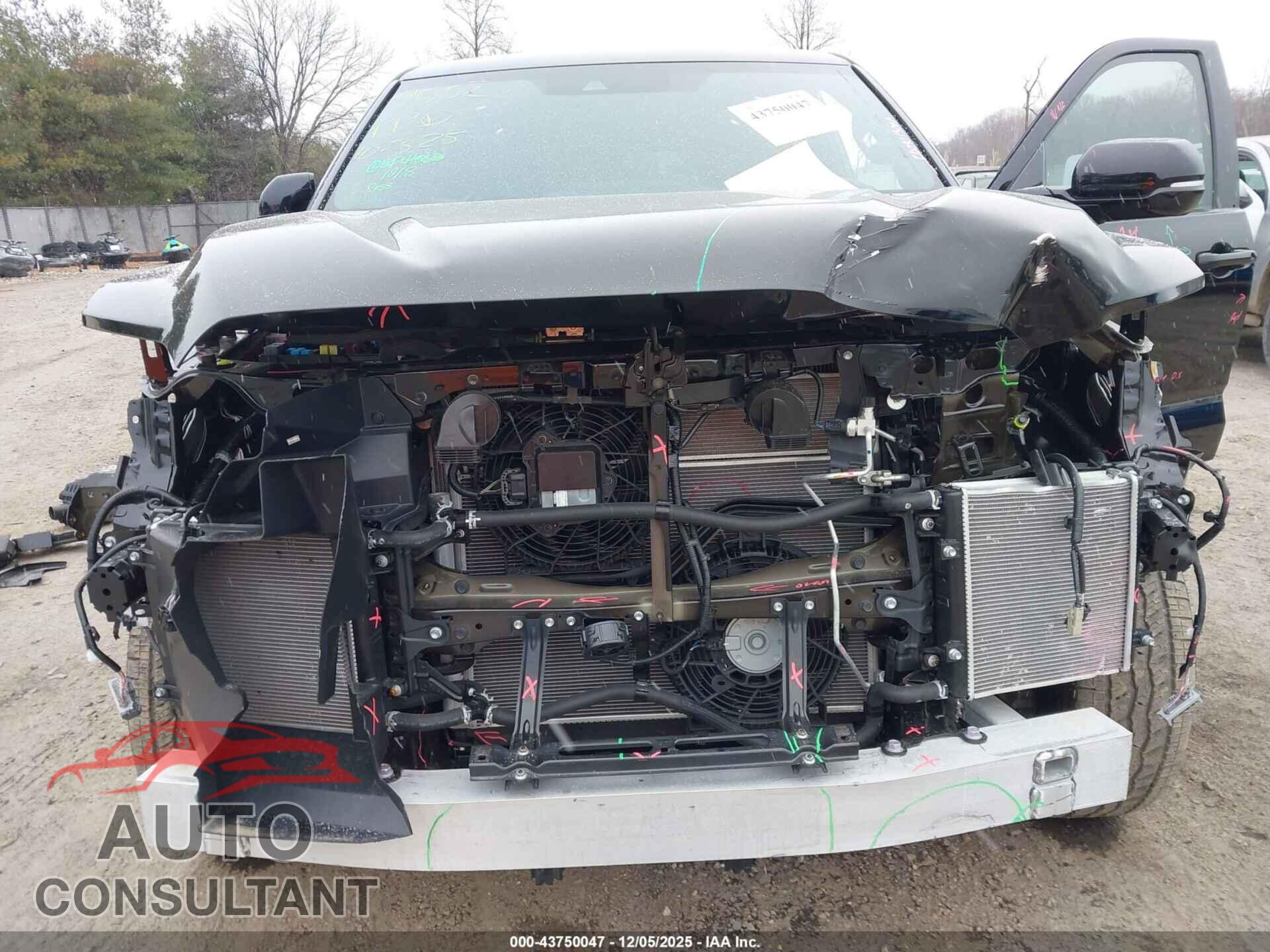 TOYOTA SEQUOIA 2024 - 7SVAAABA2RX046288