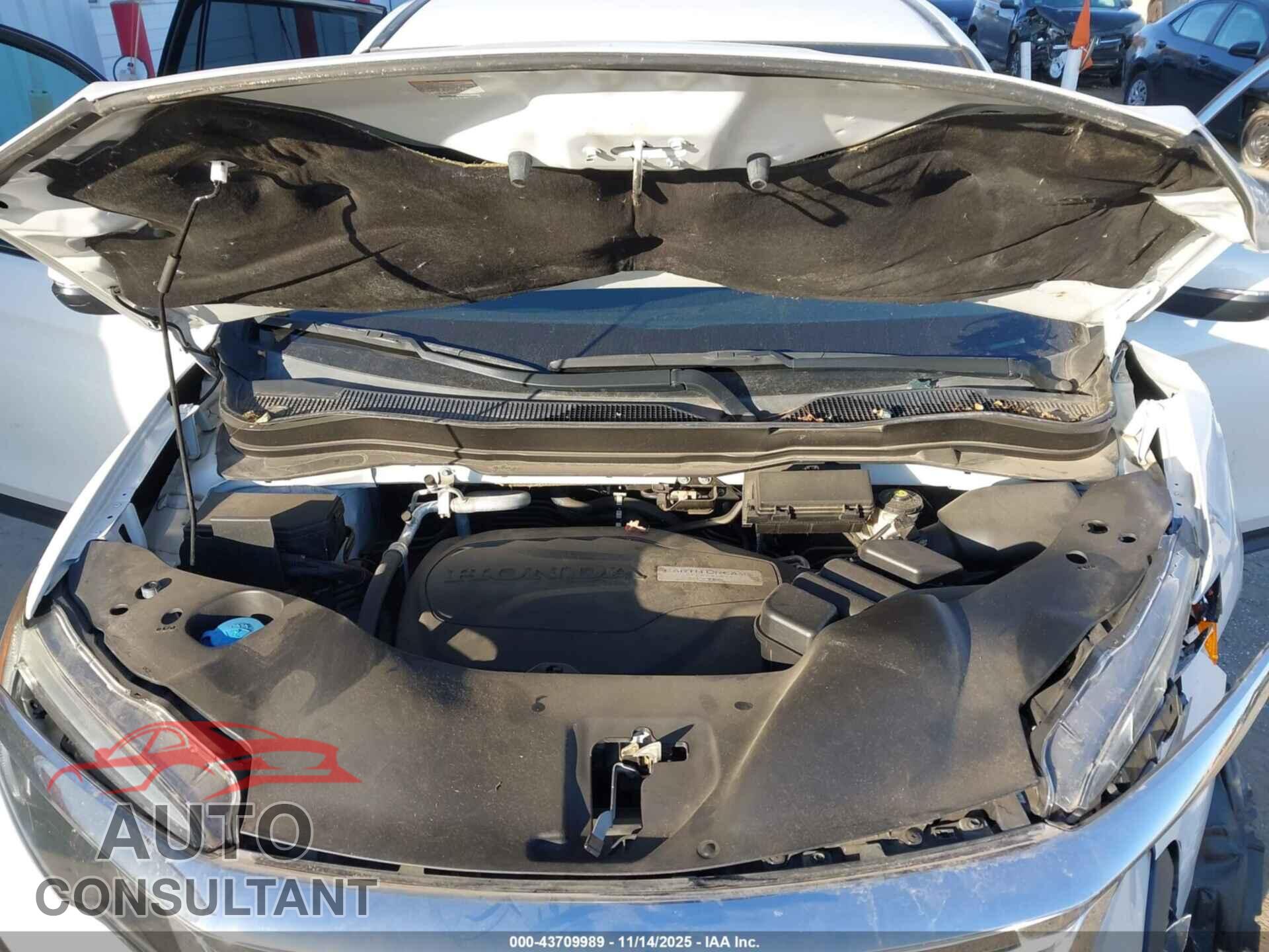 HONDA PILOT 2020 - 5FNYF6H39LB003729