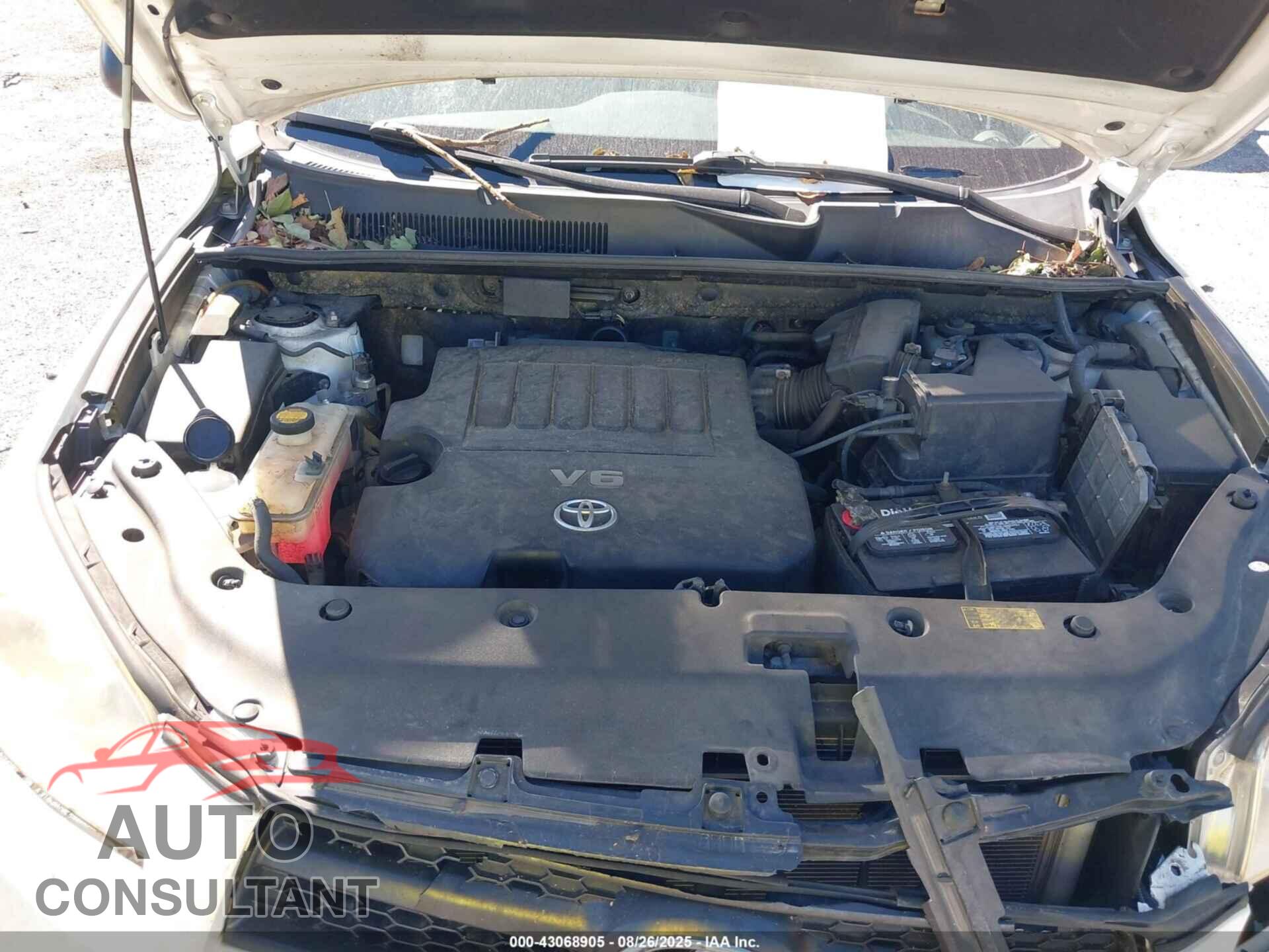 TOYOTA RAV4 2012 - JTMBK4DVXCD019569