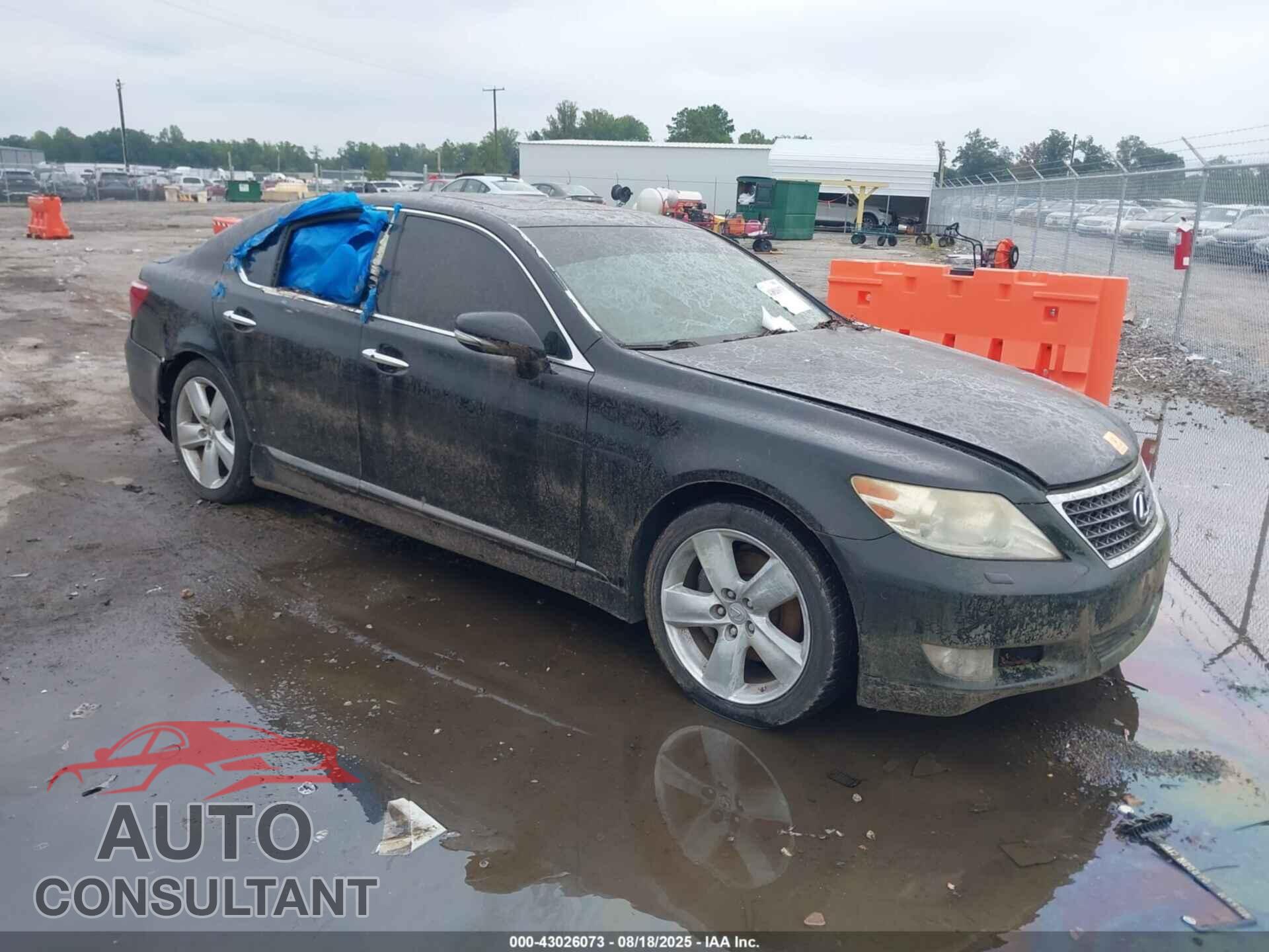 LEXUS LS 460 2010 - JTHBL5EF6A5097363
