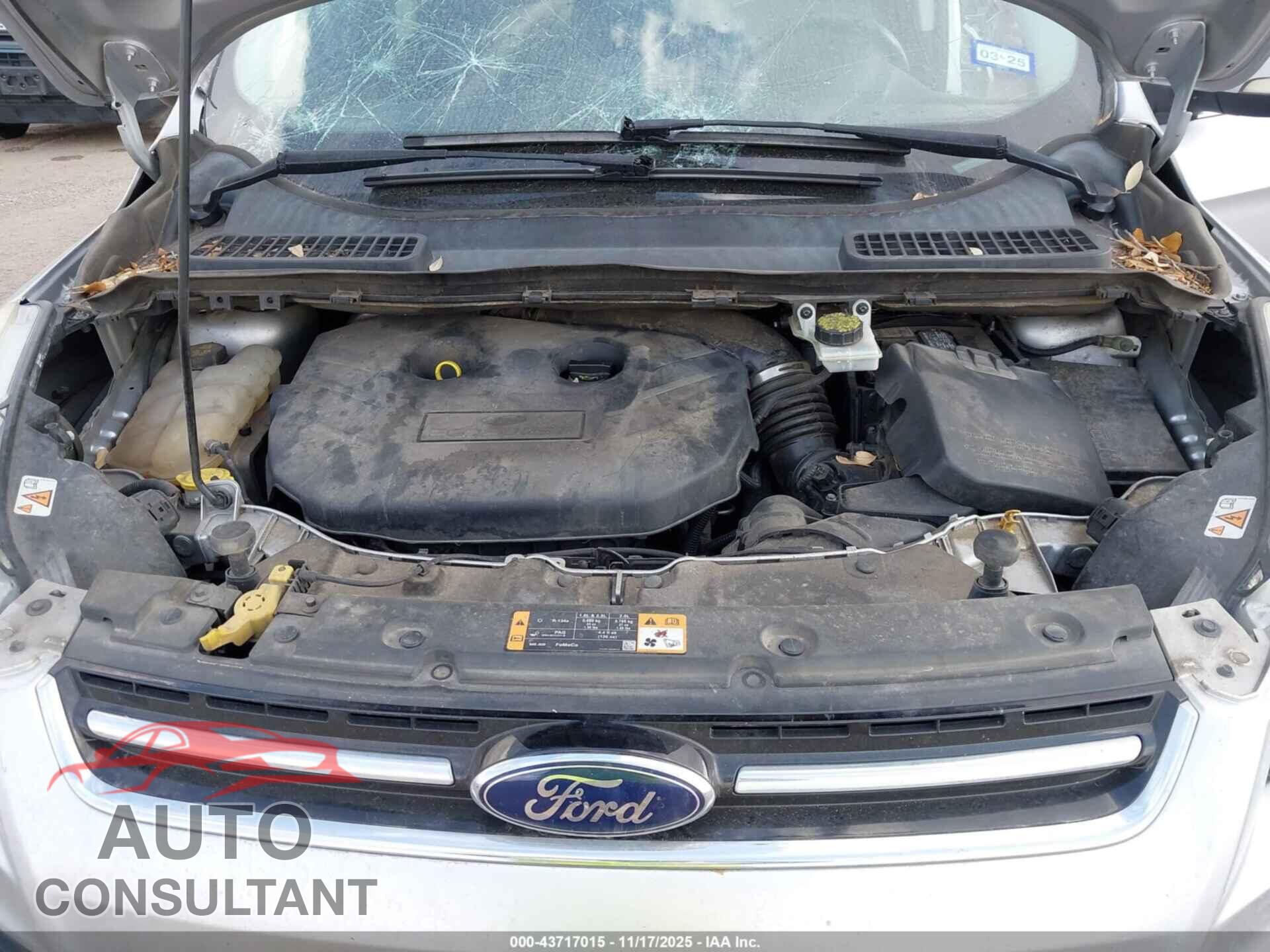 FORD ESCAPE 2014 - 1FMCU0J96EUD08641