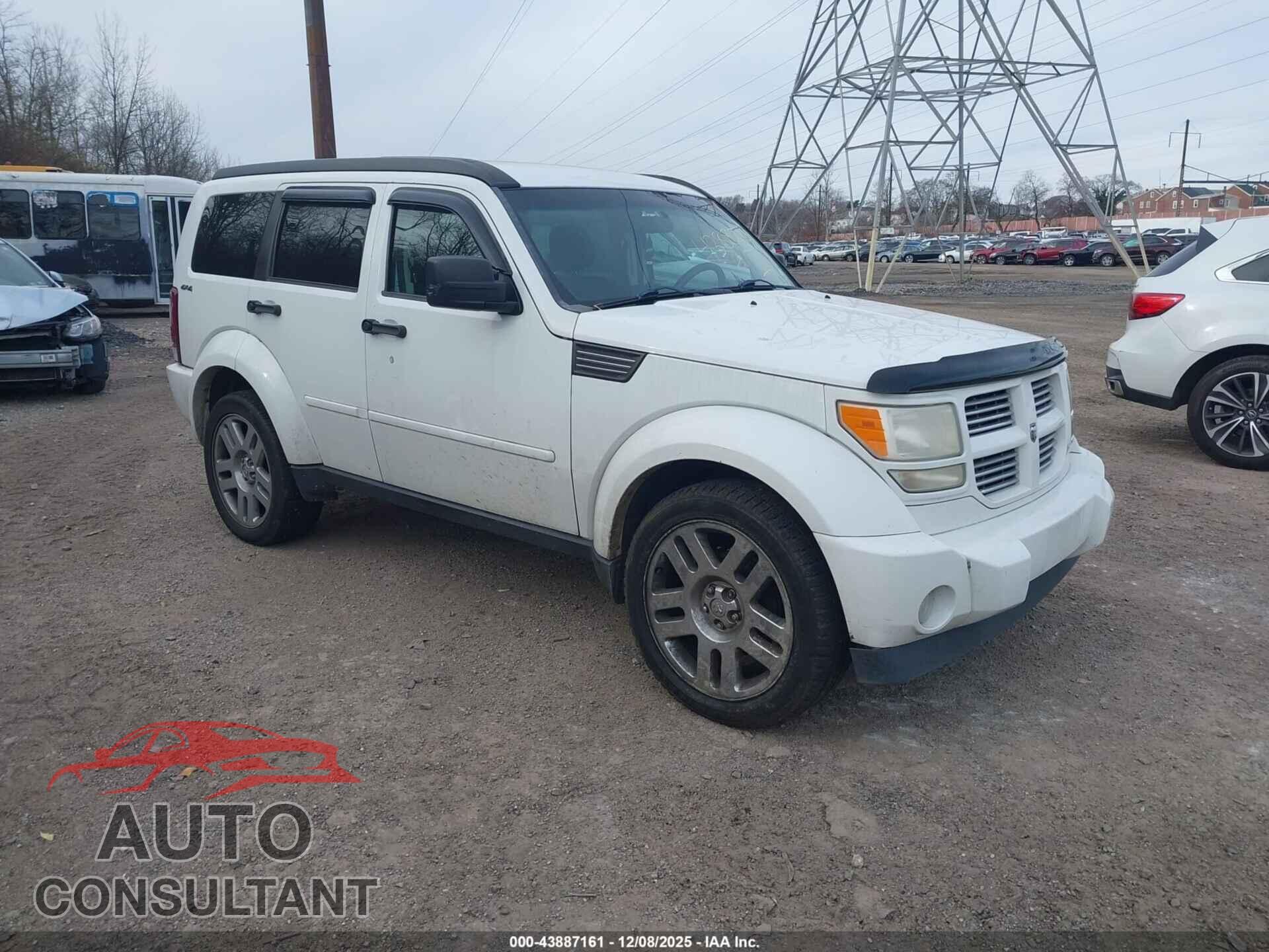 DODGE NITRO 2011 - 1D4PU4GK2BW604735