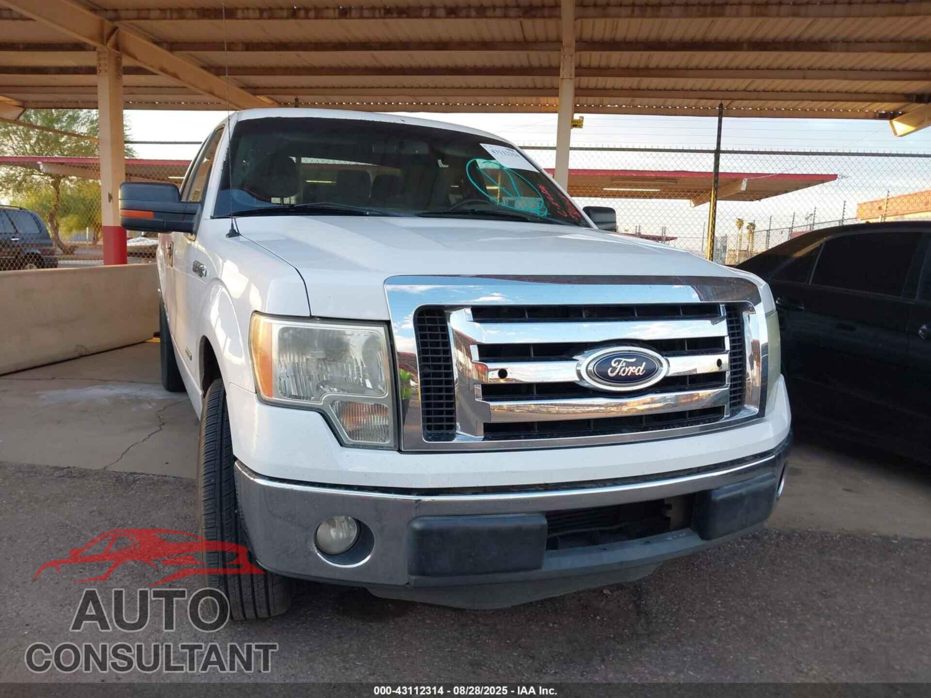 FORD F-150 2012 - 1FTFX1CTXCFC22886