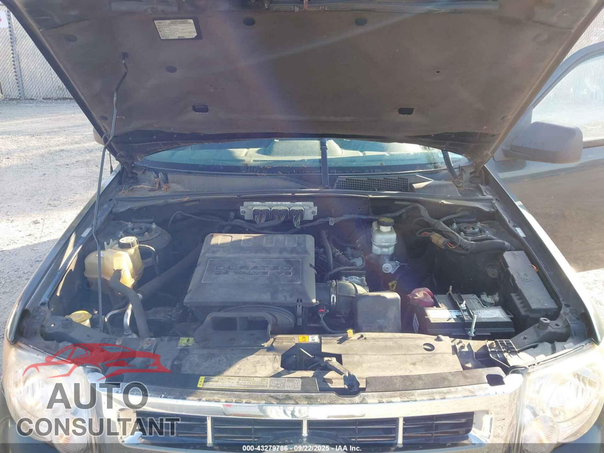 FORD ESCAPE 2009 - 1FMCU03G29KD16359