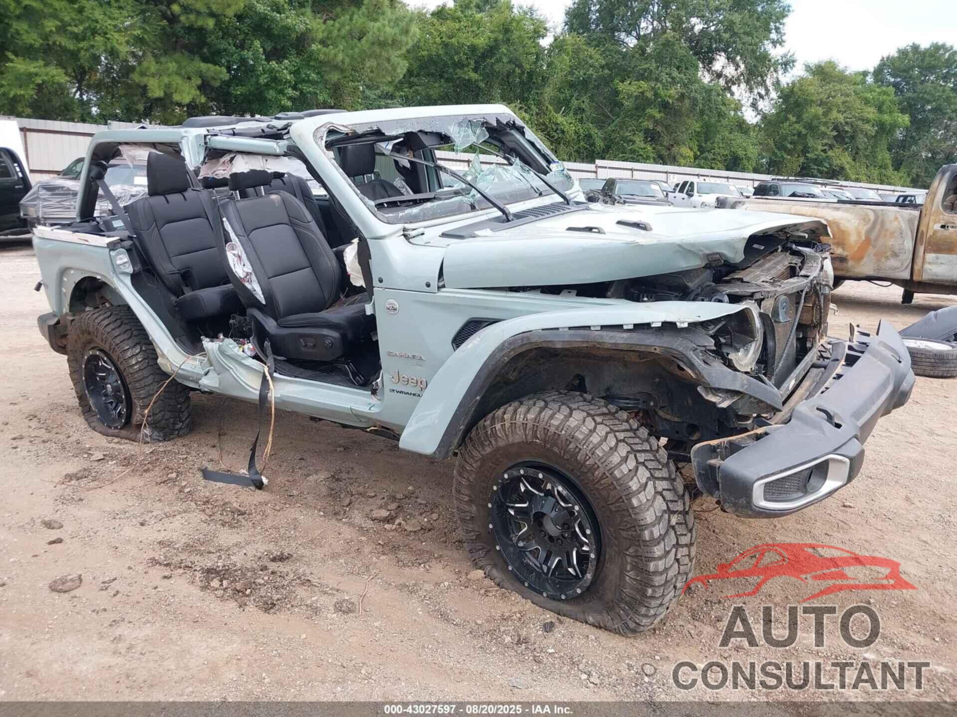 JEEP WRANGLER 2024 - 1C4PJXEGXRW324481