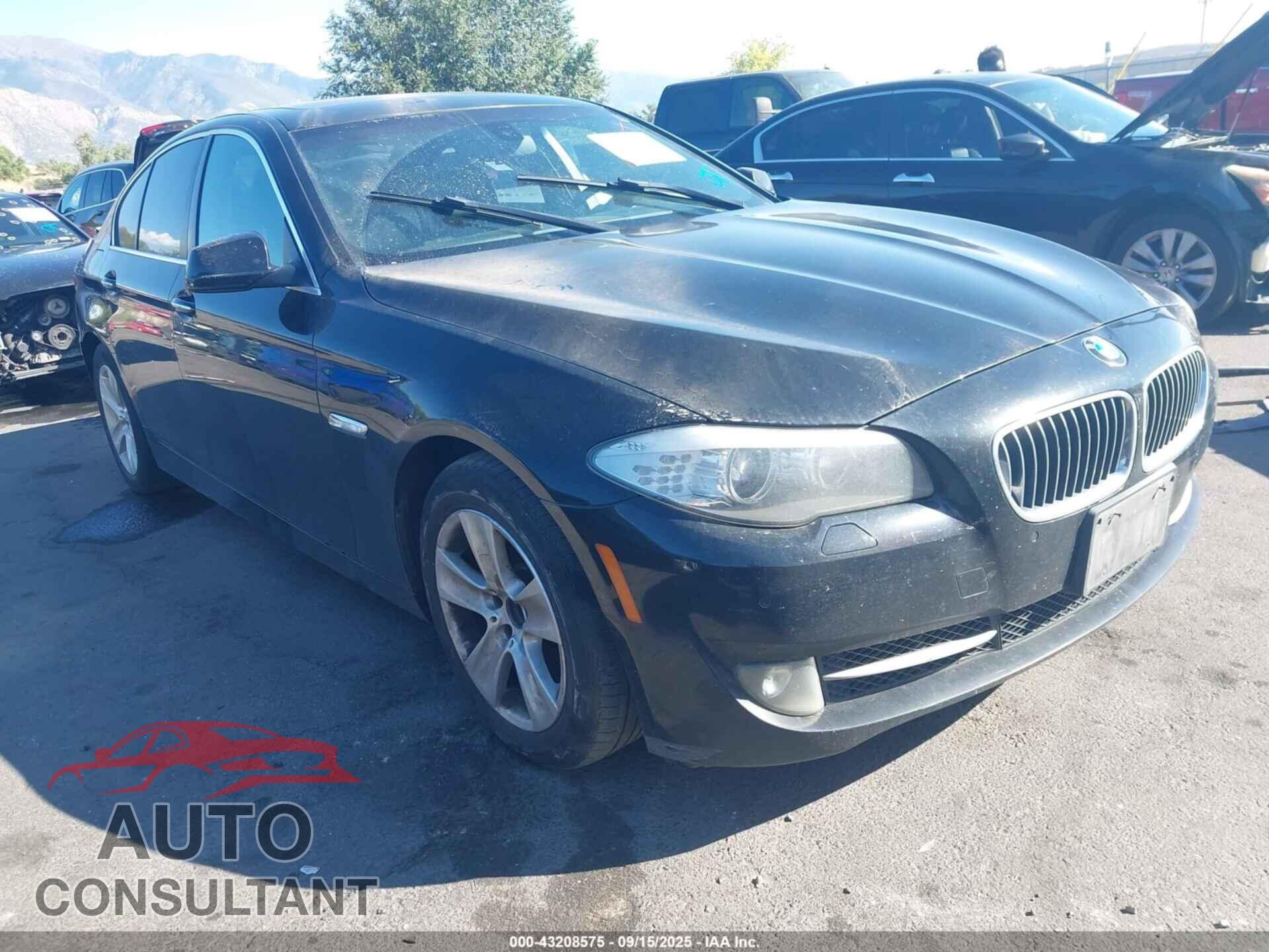 BMW 528I 2013 - WBAXG5C58DD229486
