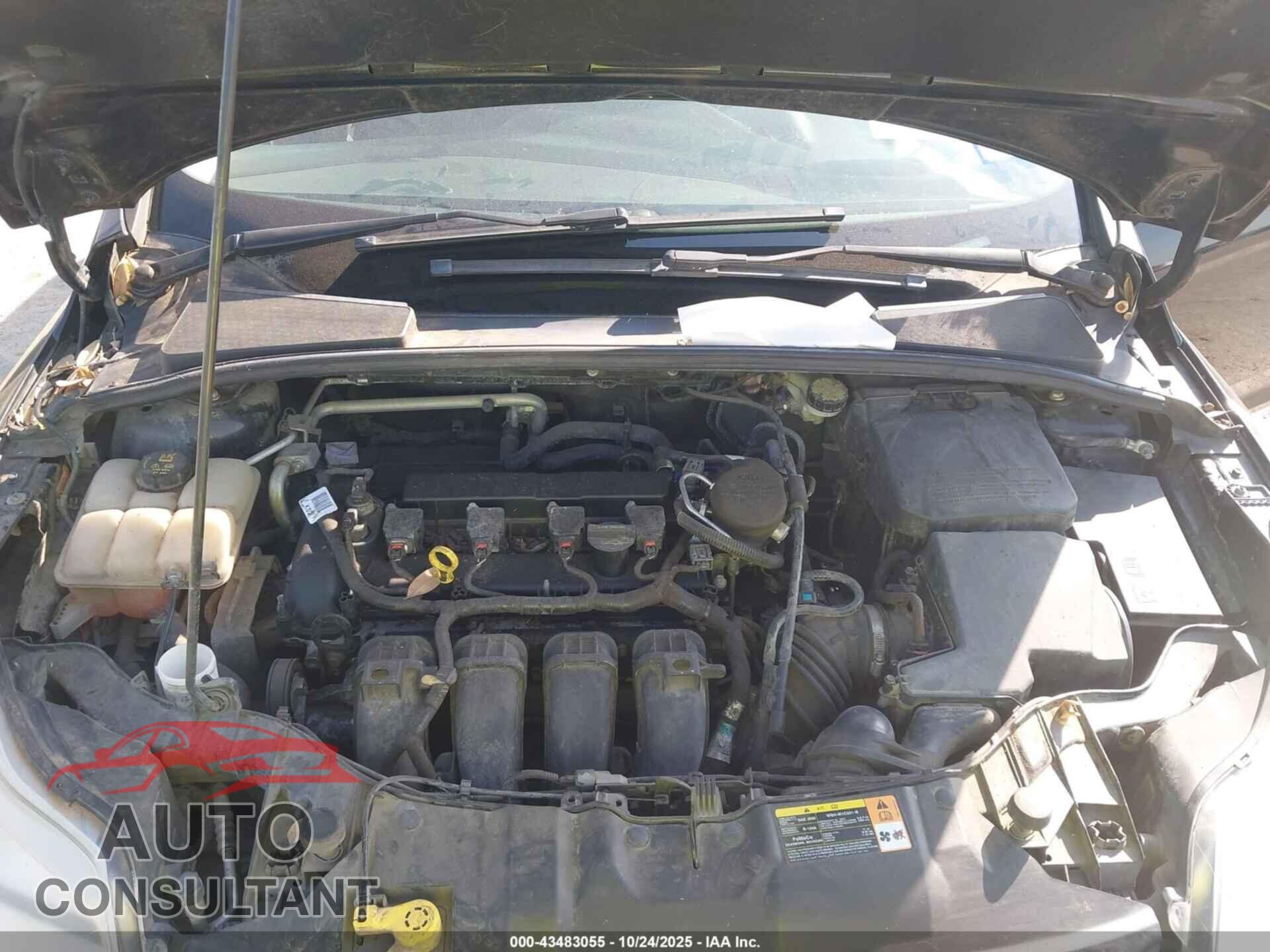 FORD FOCUS 2014 - 1FADP3F26EL162511