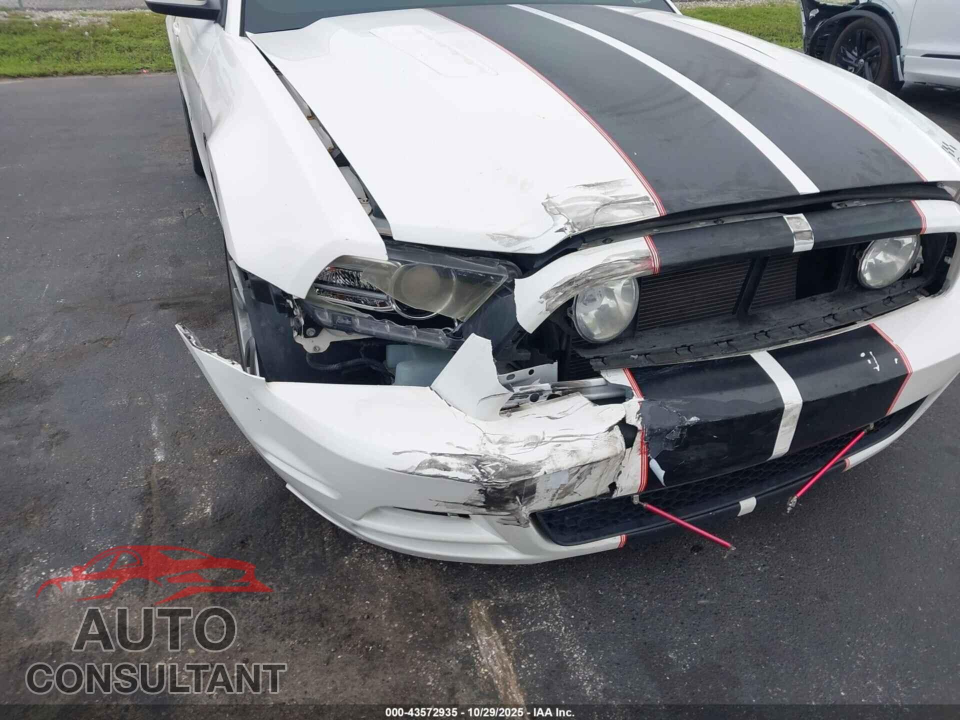 FORD MUSTANG 2013 - 1ZVBP8FF8D5215548